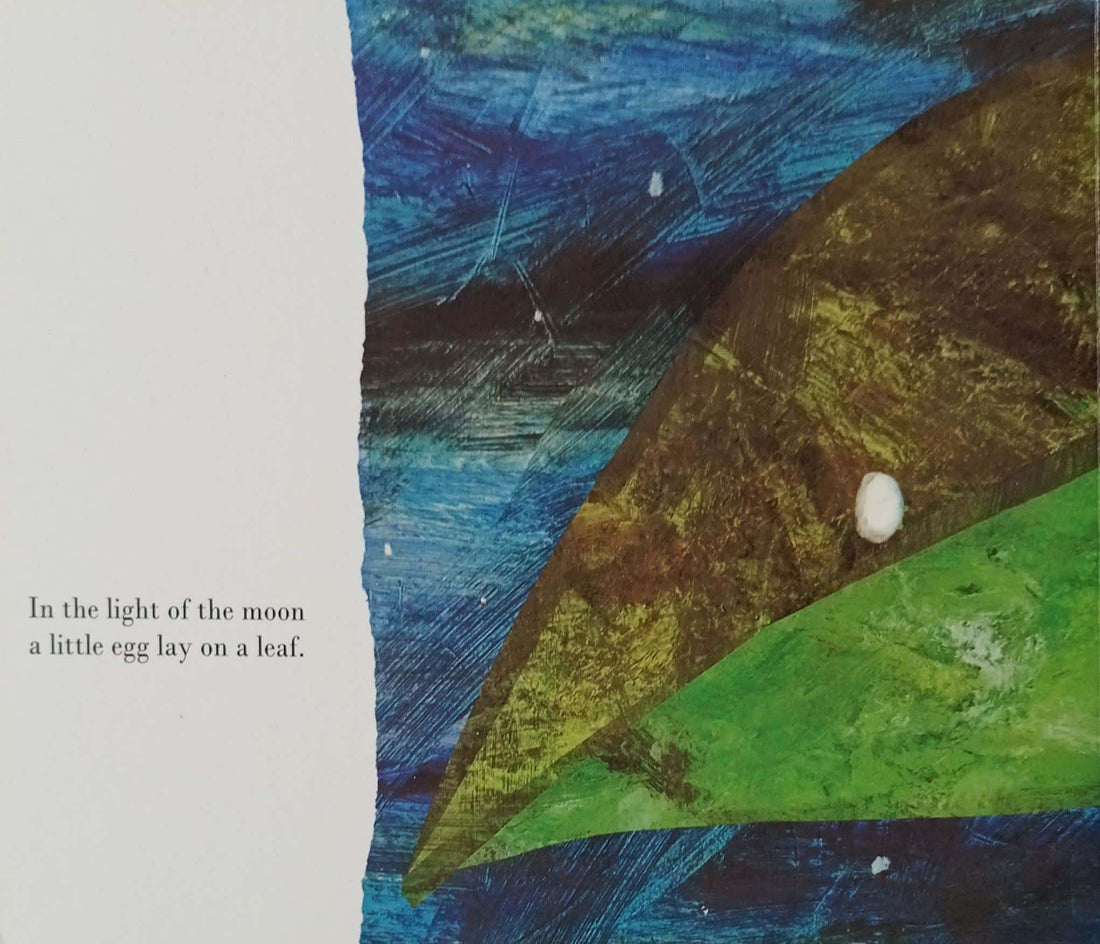 The Very Hungry Caterpillar: The Very Hungry Caterpillar (A Very Big Board Book)