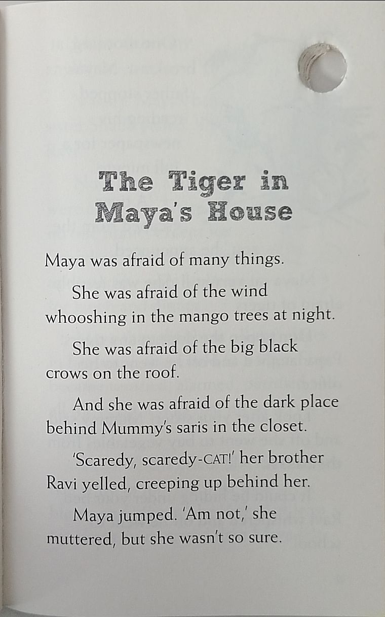 Hole Books: Maya Saves the Day