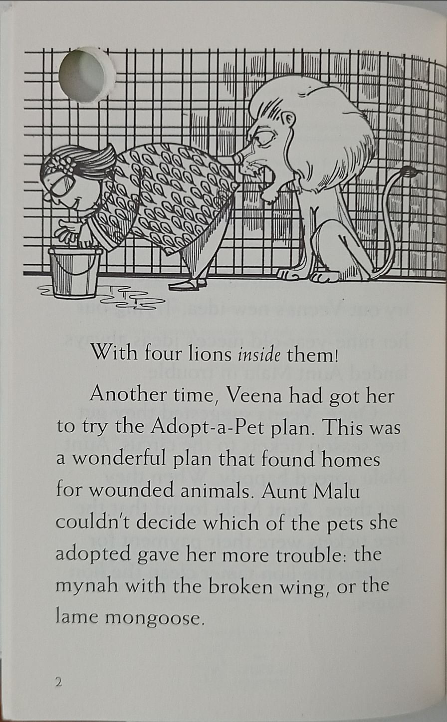 Hole Books: Trouble with Magic
