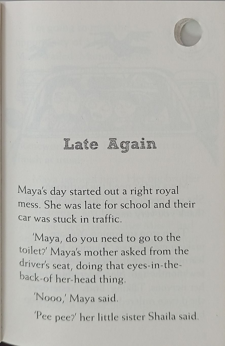 Hole Books: Maya in a Mess