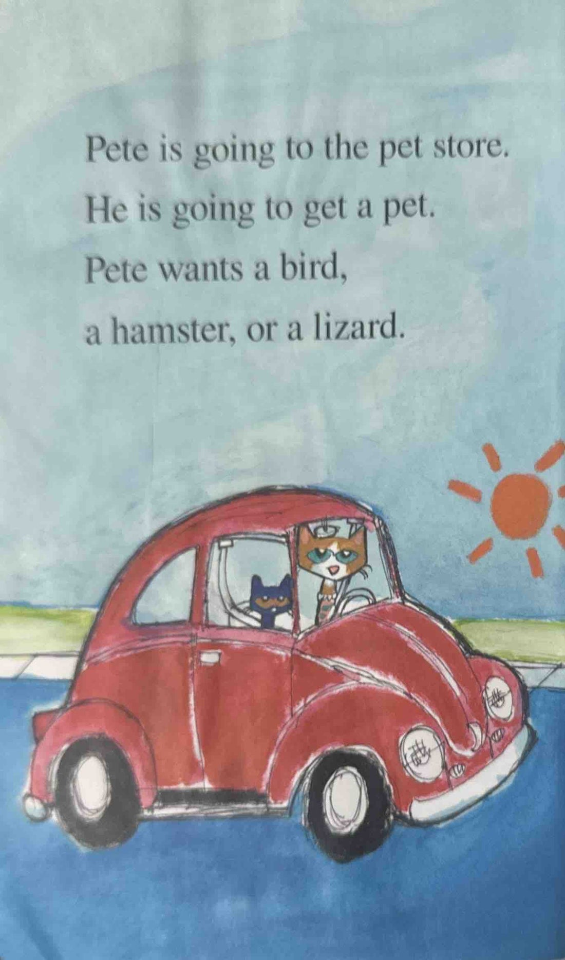 My First I Can Read!: Pete the Cat A Pet for Pete