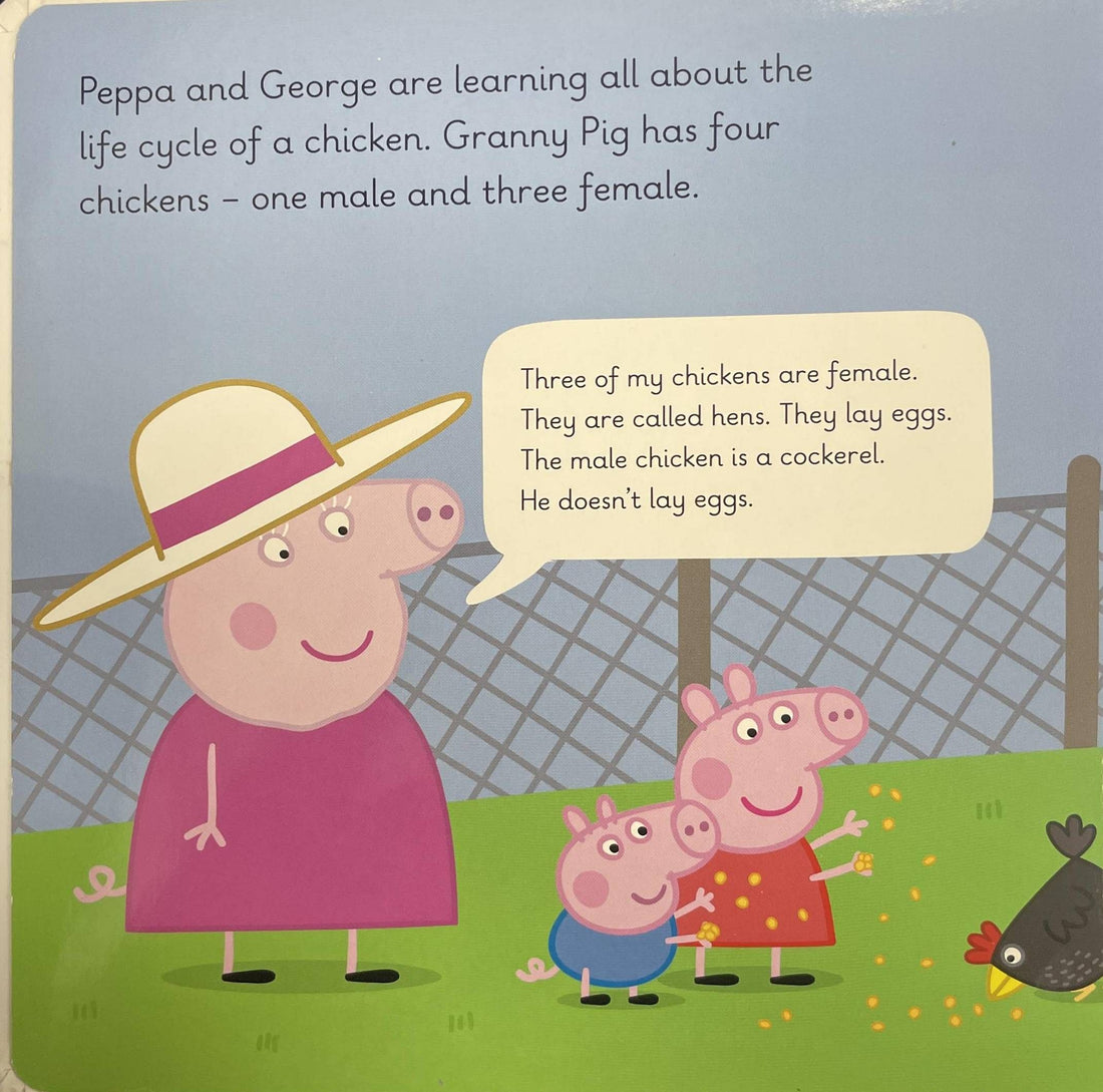 Learn with Peppa Pig- Peppa's New Chicks (A Life Cycles Storybook)