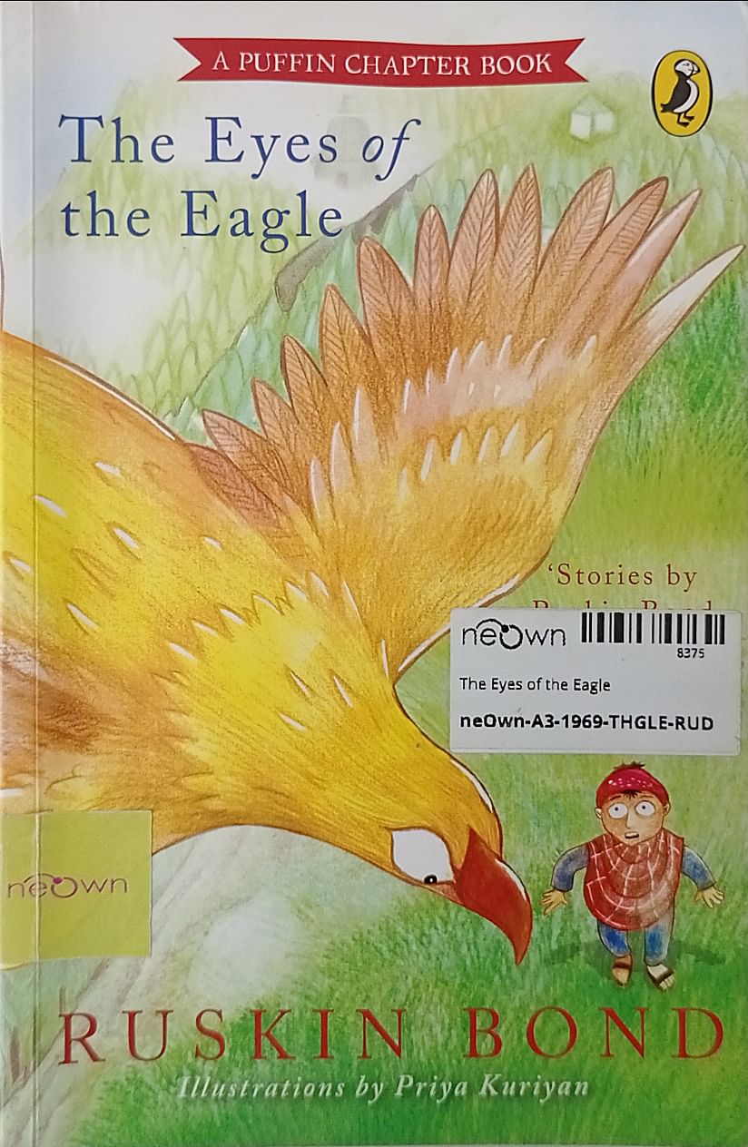 The Eyes of the Eagle