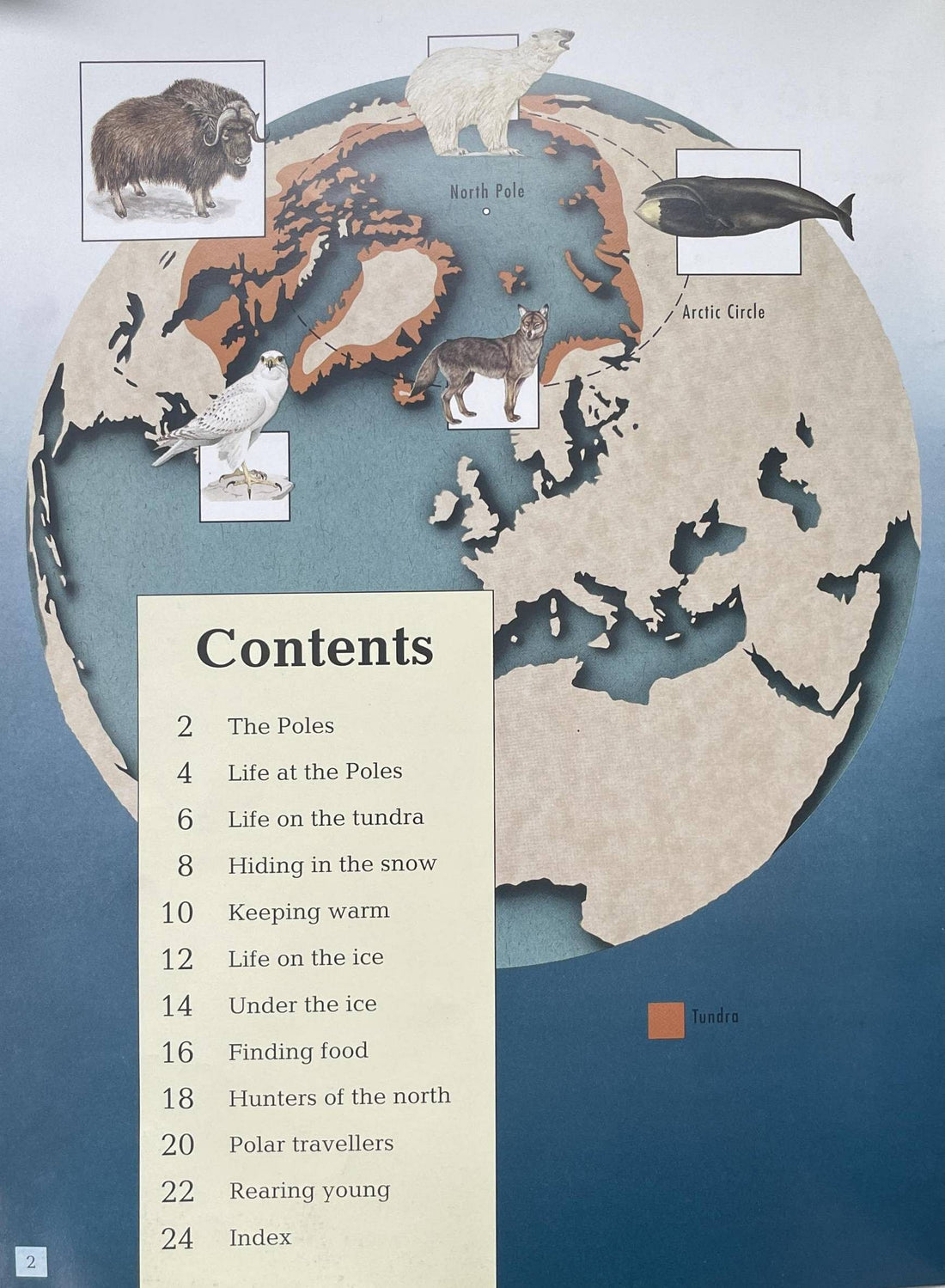 Action Files: Polar Wildlife