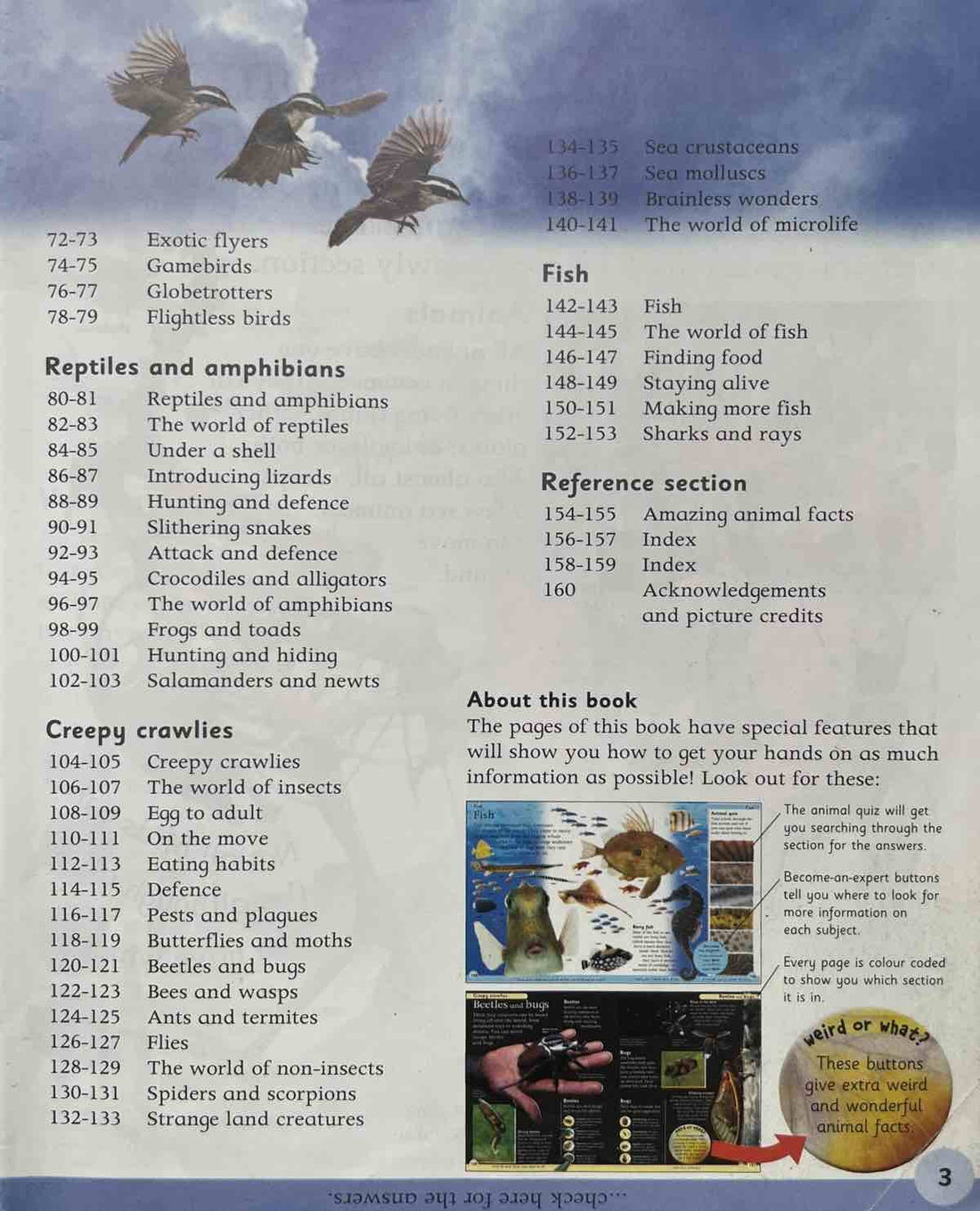Animal Encyclopedia (First reference for Young Readers and Writers)