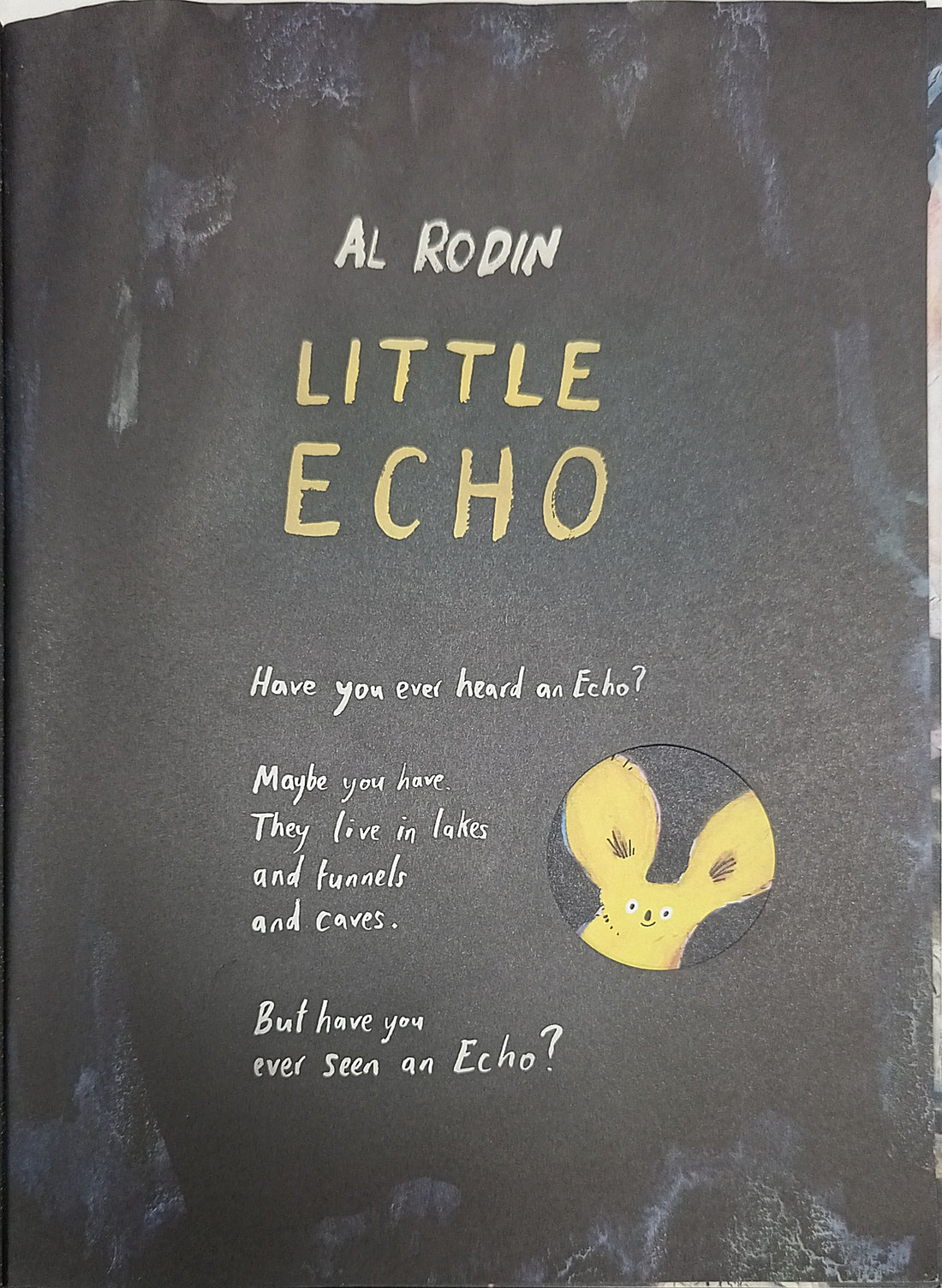 Little Echo