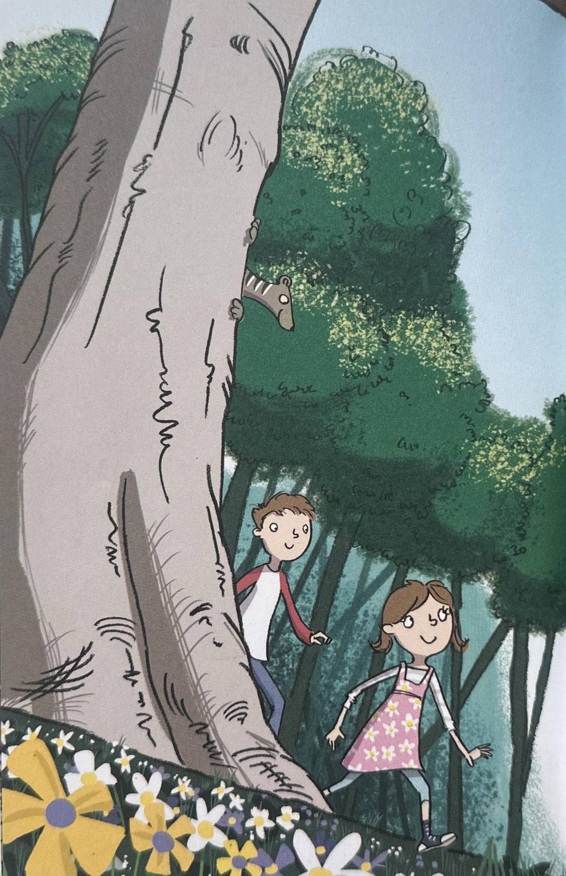A Faraway Tree Adventure #1 The Land of Birthdays