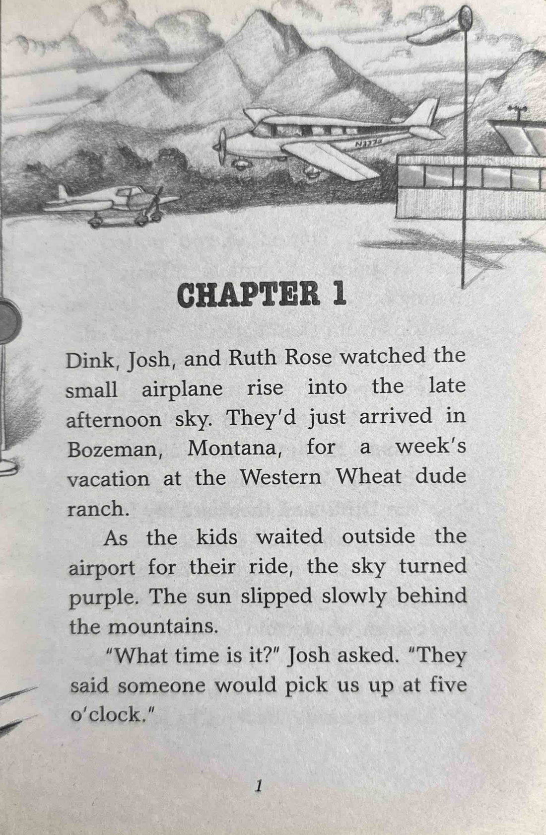 A to Z Mysteries #14 The Ninth Nugget
