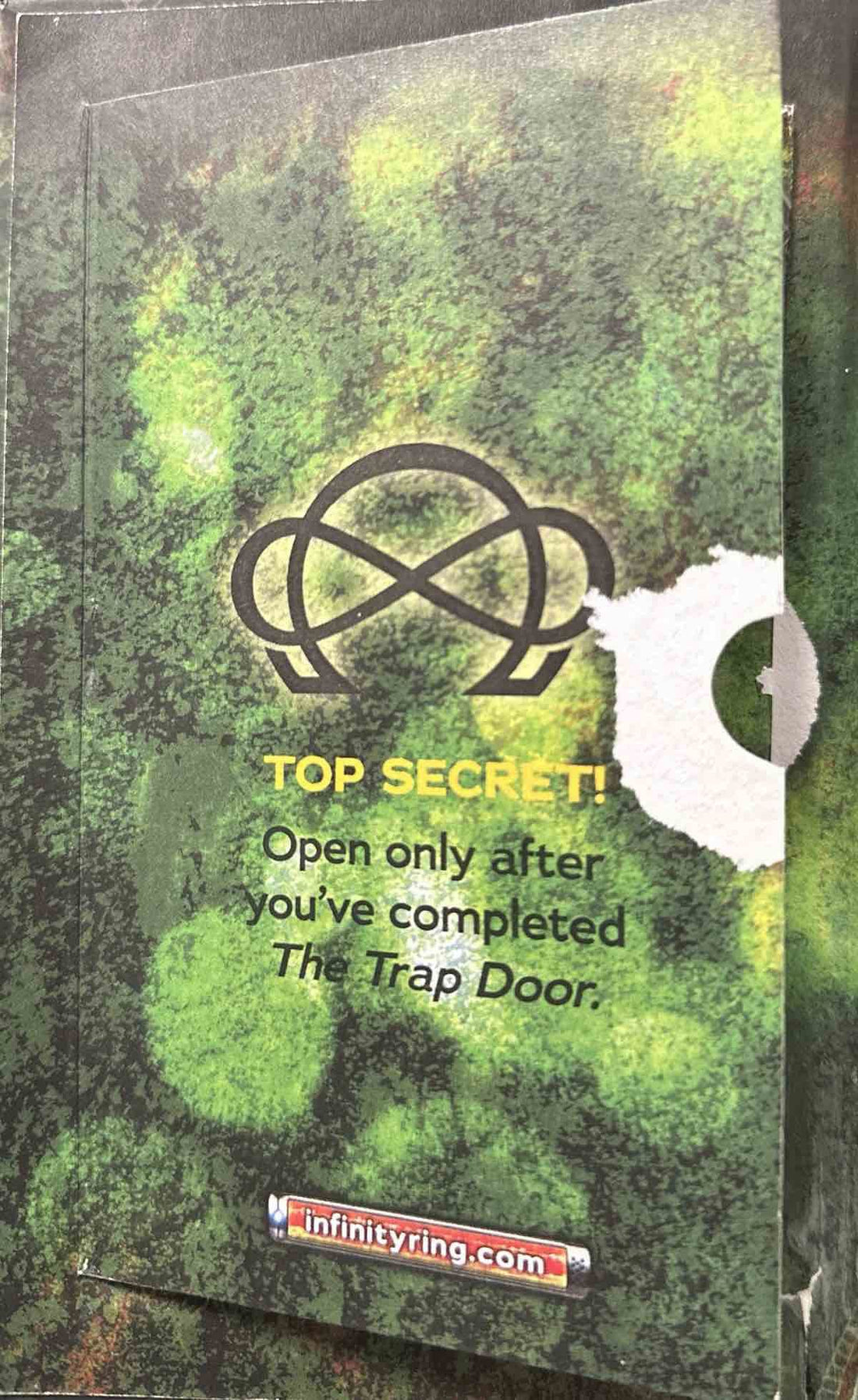 Infinity Ring #3 The Trap Door
