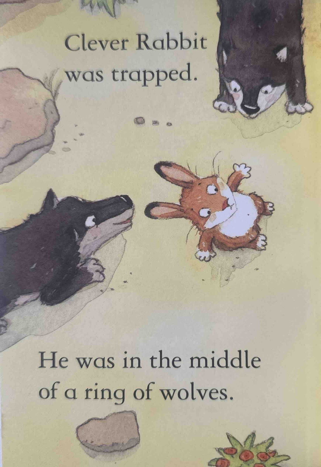 Usborne First Reading Level Two: Clever Rabbit and the Wolves