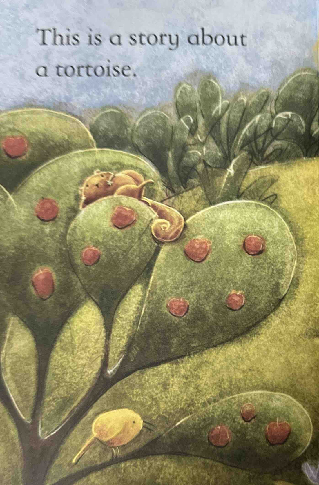 Usborne First Reading Level Two: The Tortoise and the Eagle