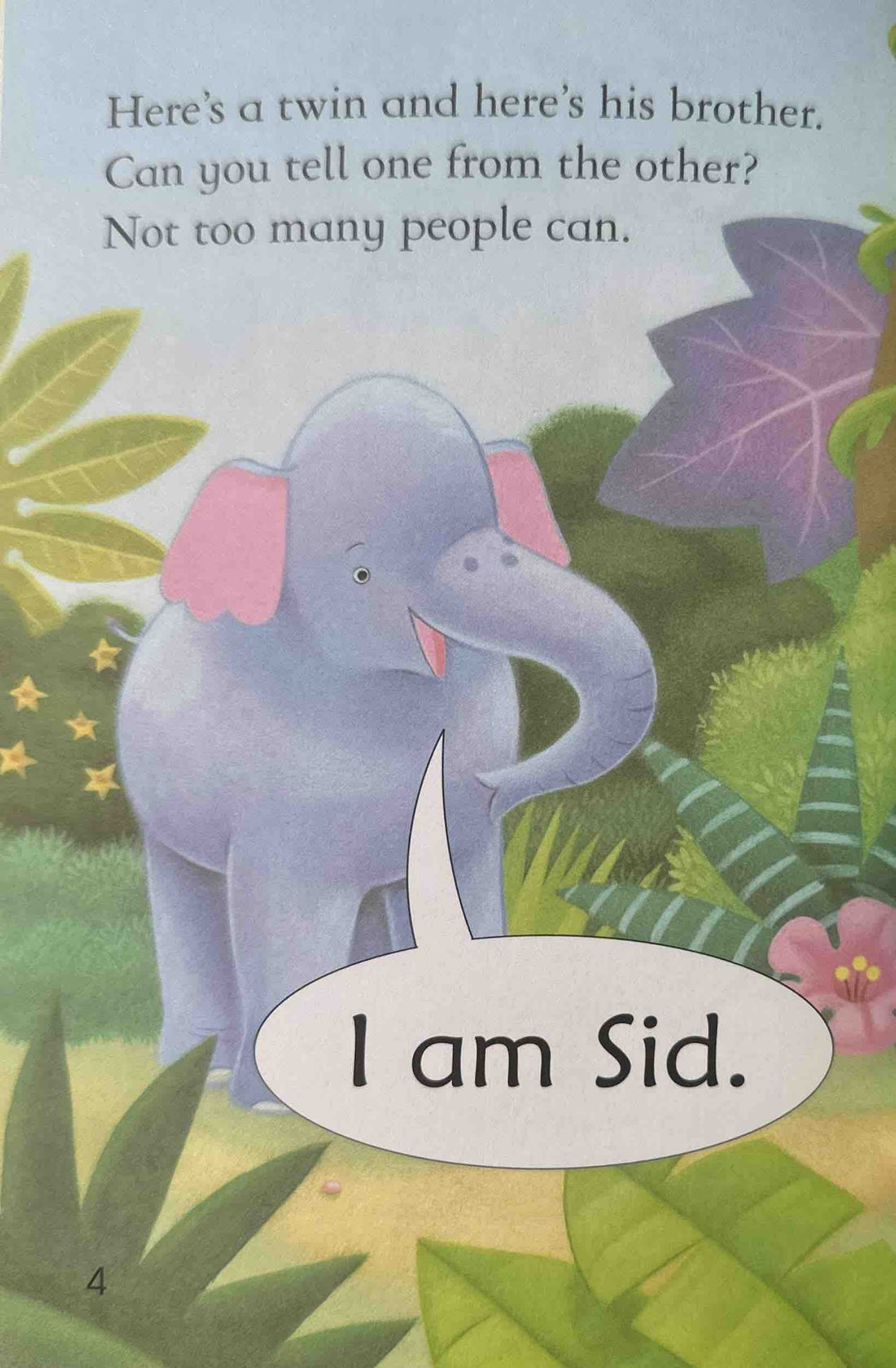 Usborne Very First Reading #2 Double Trouble