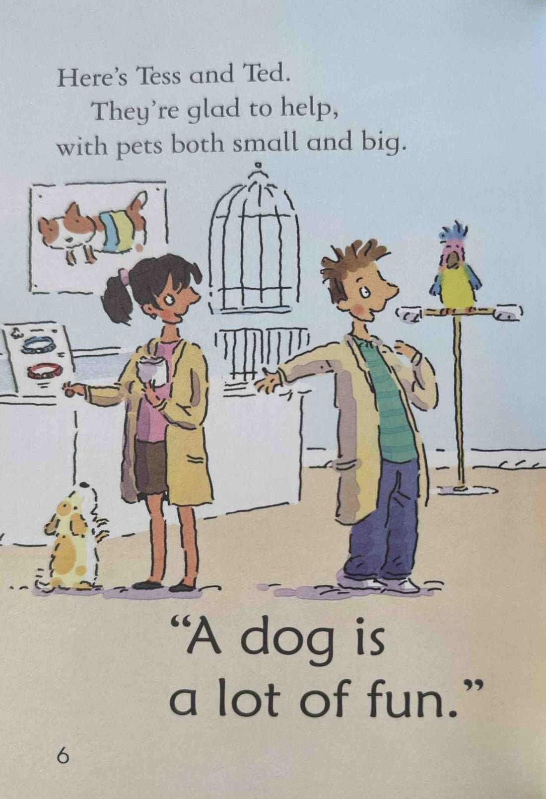 Usborne Very First Reading #6 The Perfect Pet