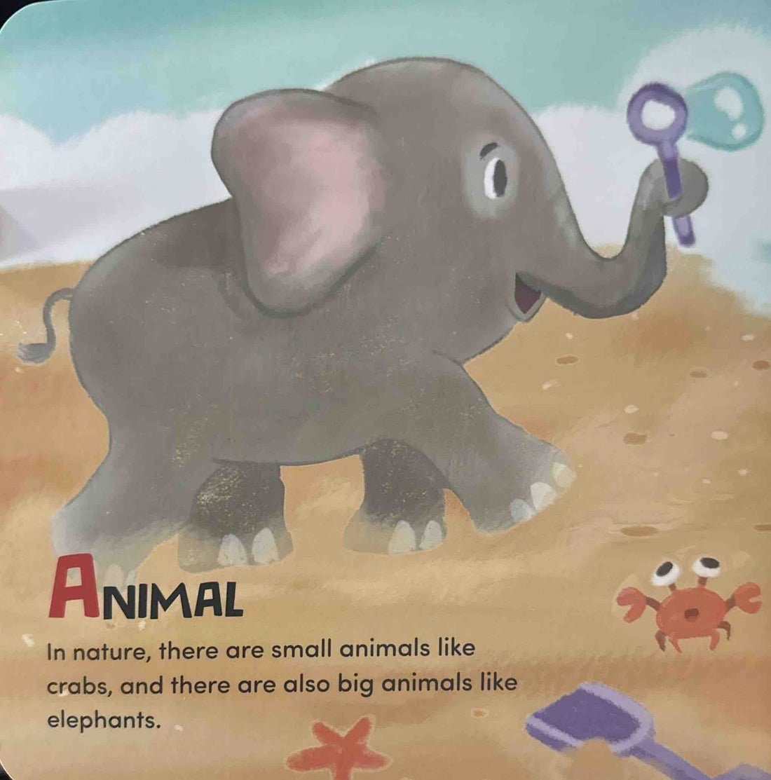 ABC Series: ABC Nature