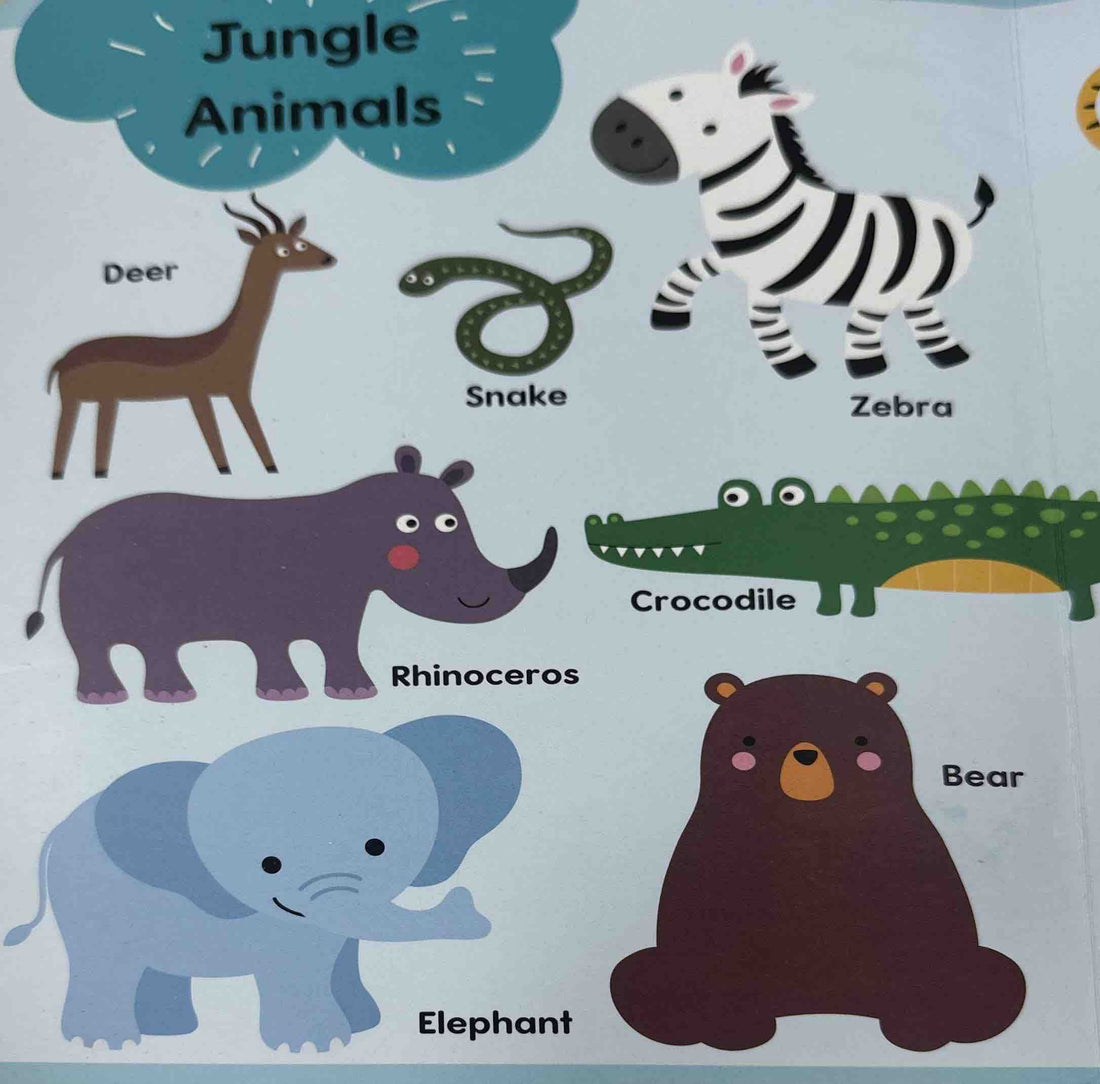 Let's Learn About Amazing Animals