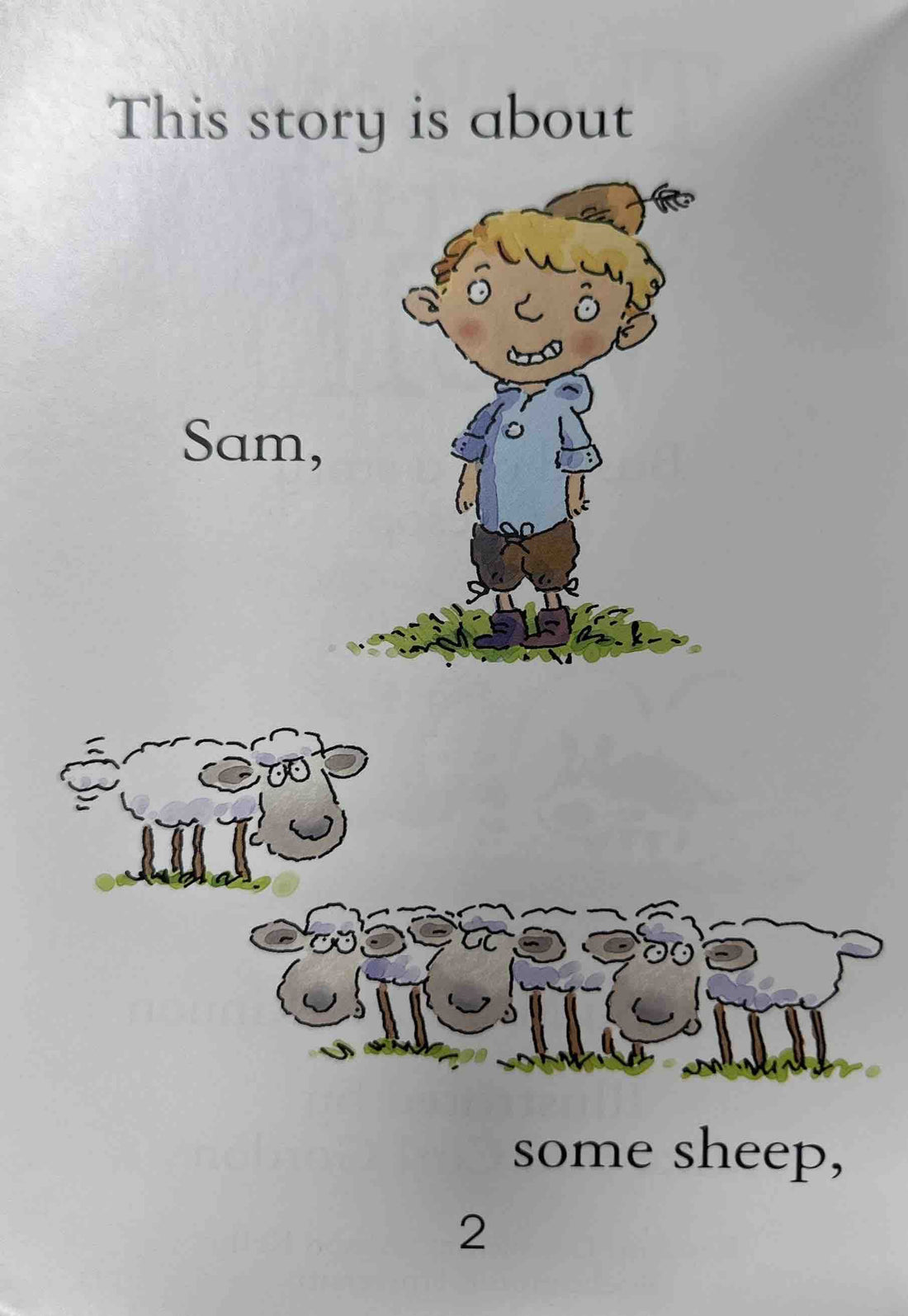 Usborne First Reading Level 3: The Boy Who Cried Wolf