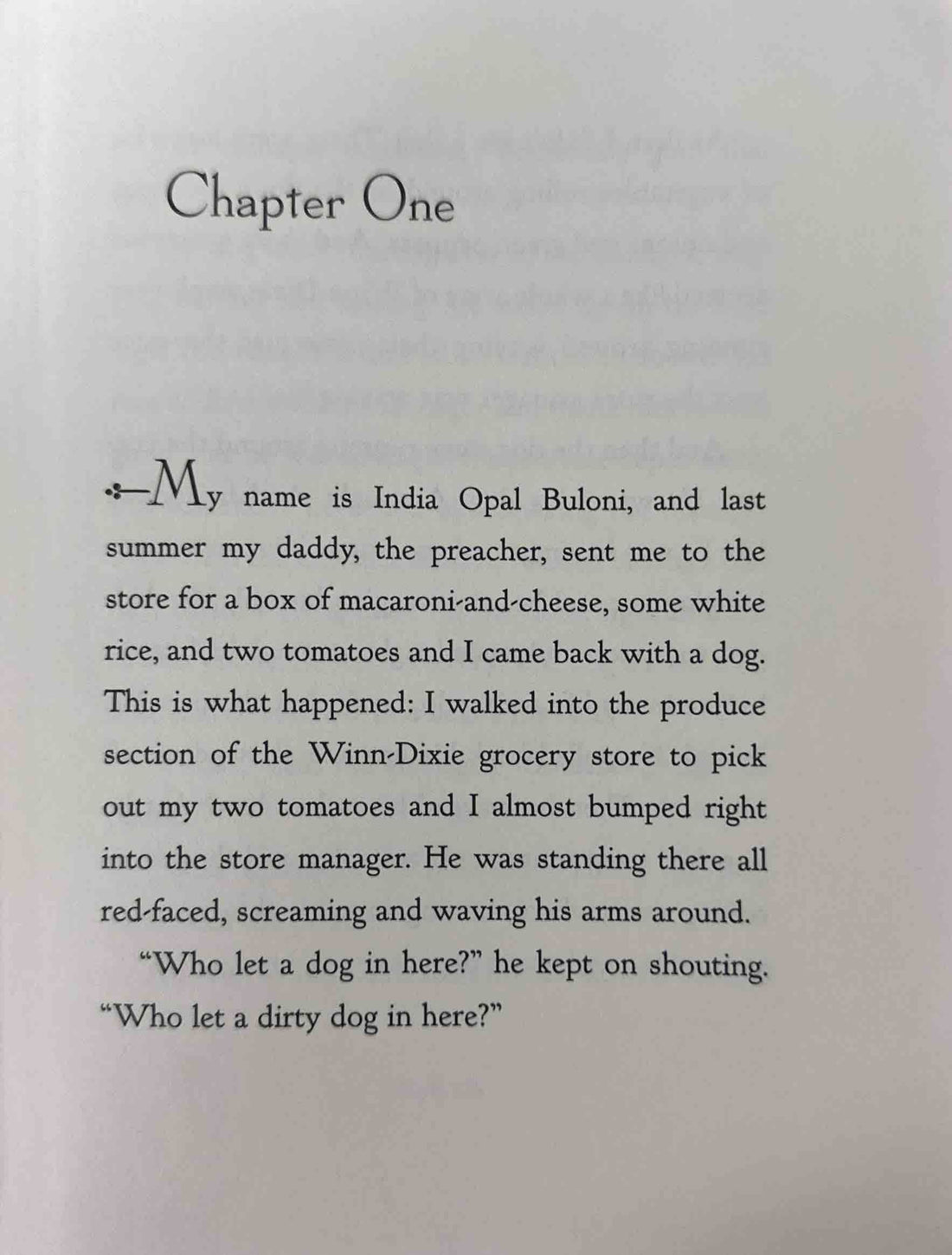 Because of Winn-Dixie