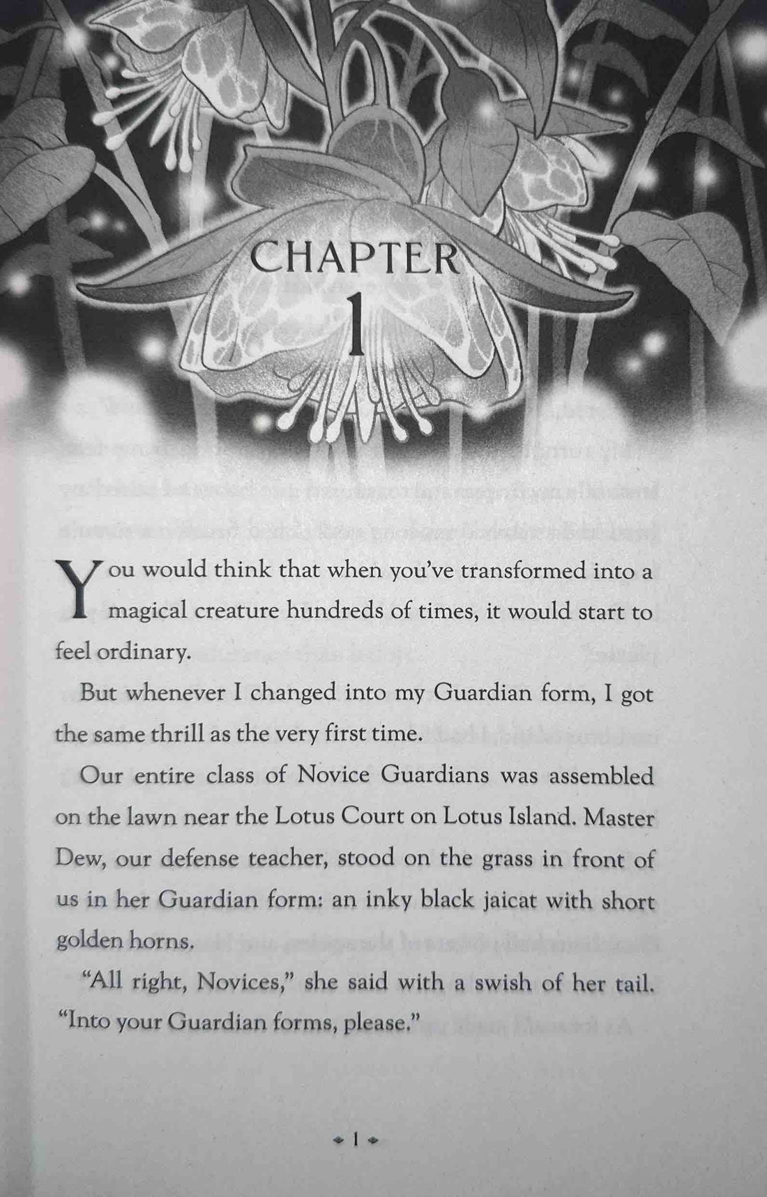 Legends of Lotus Island #3 City of Wishes
