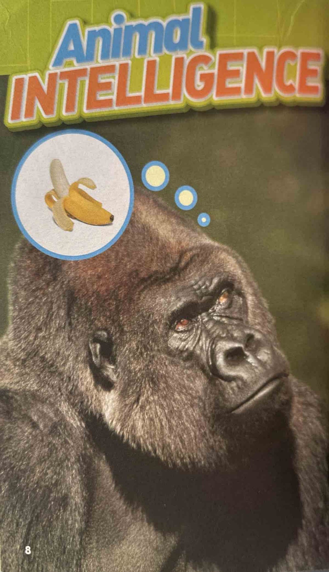 Quiz Whiz #1 1,000 Super Fun, Mind-Bending, Totally Awesome Trivia Questions