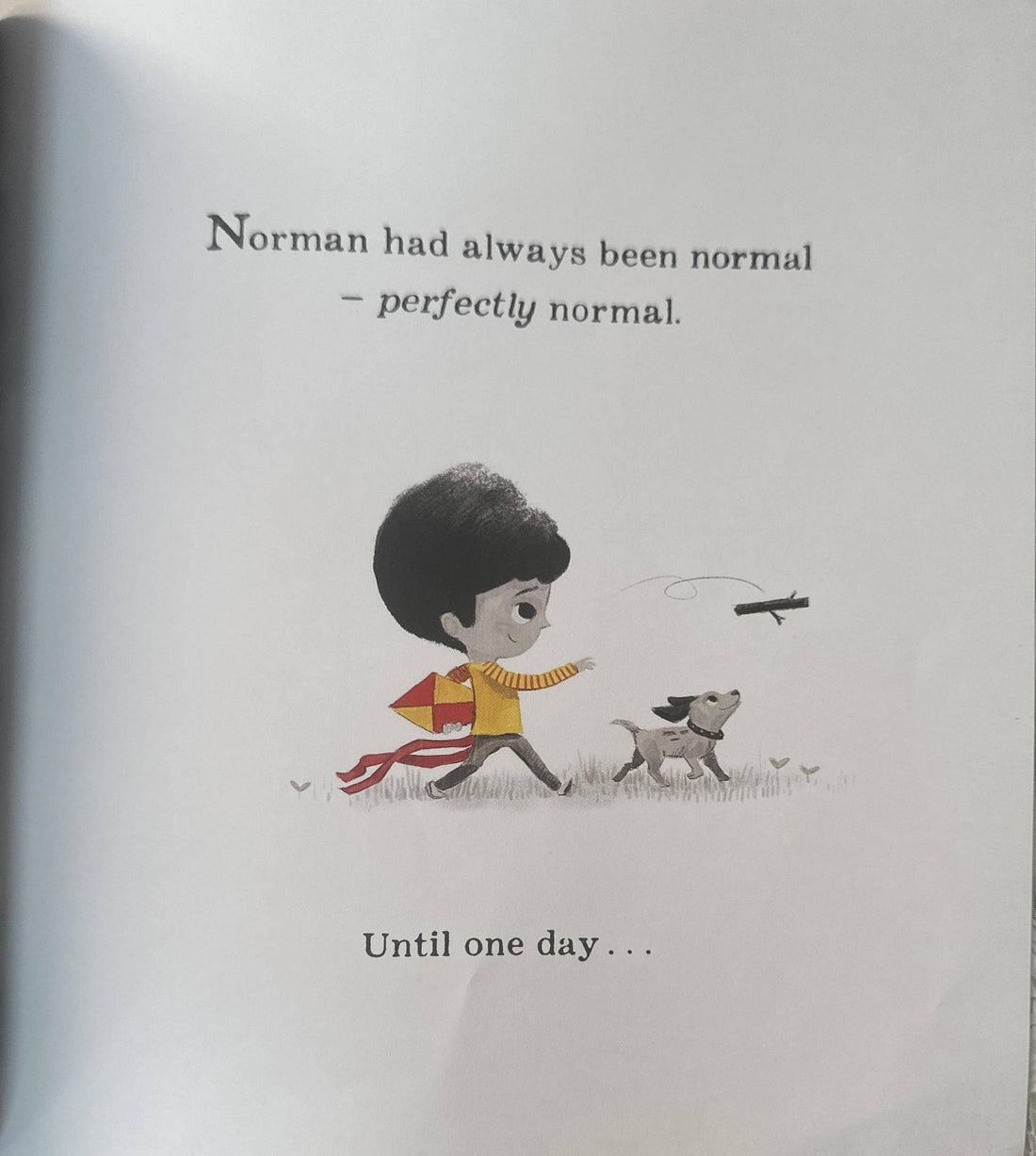 A Big Bright Feelings Book: Perfectly Norman