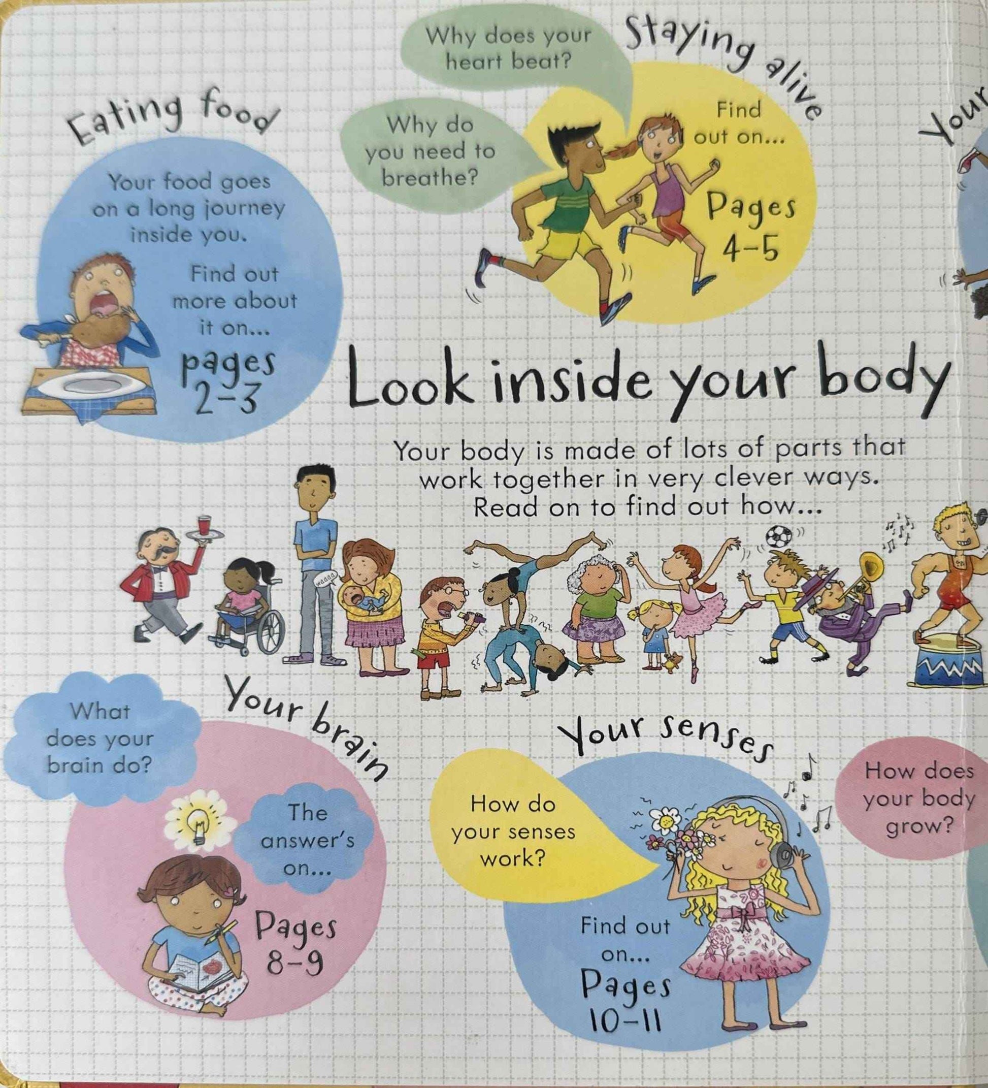 Usborne Lift The Flap Look Inside: Look Inside Your Body (Board Book)