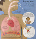 Usborne Lift The Flap Look Inside: Look Inside Your Body (Board Book)