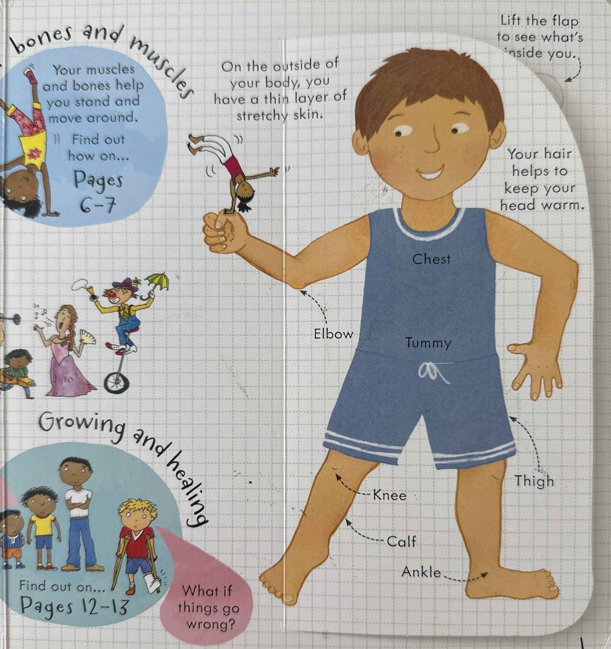 Usborne Lift The Flap Look Inside: Look Inside Your Body (Board Book)