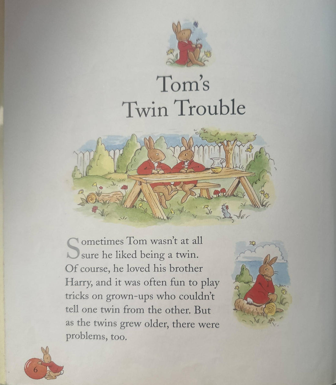 Bunnykins: Tom's Twin Trouble and Harry's Huge Hat