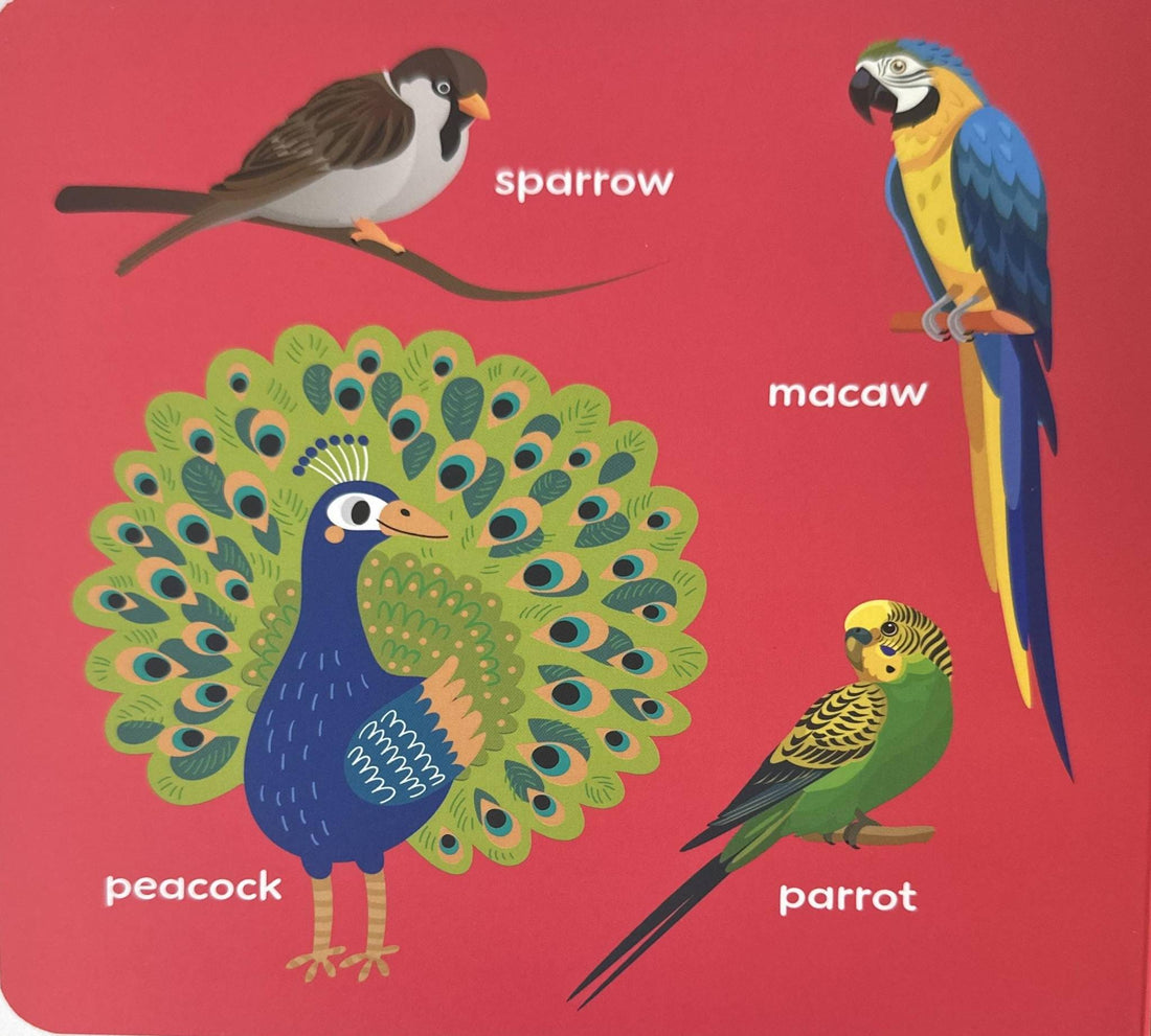 My First Big Book Of: My First Big Book Of Birds