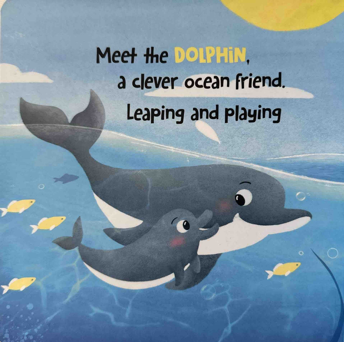 My First Discover Series: Discover Ocean Life