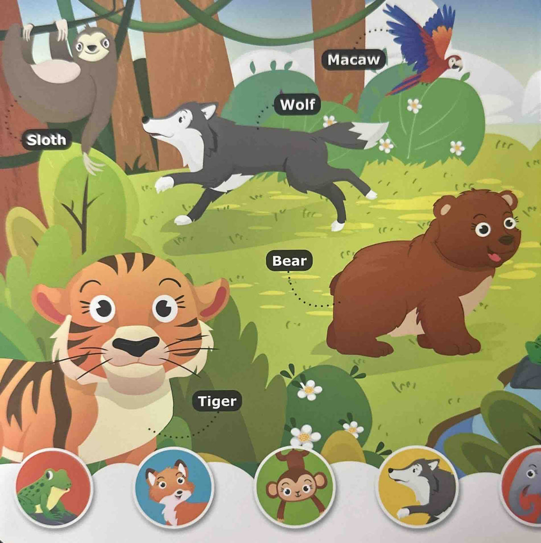 Spot And Learn With Pictures: Animals And Birds (Spot And Learn With Pictures)