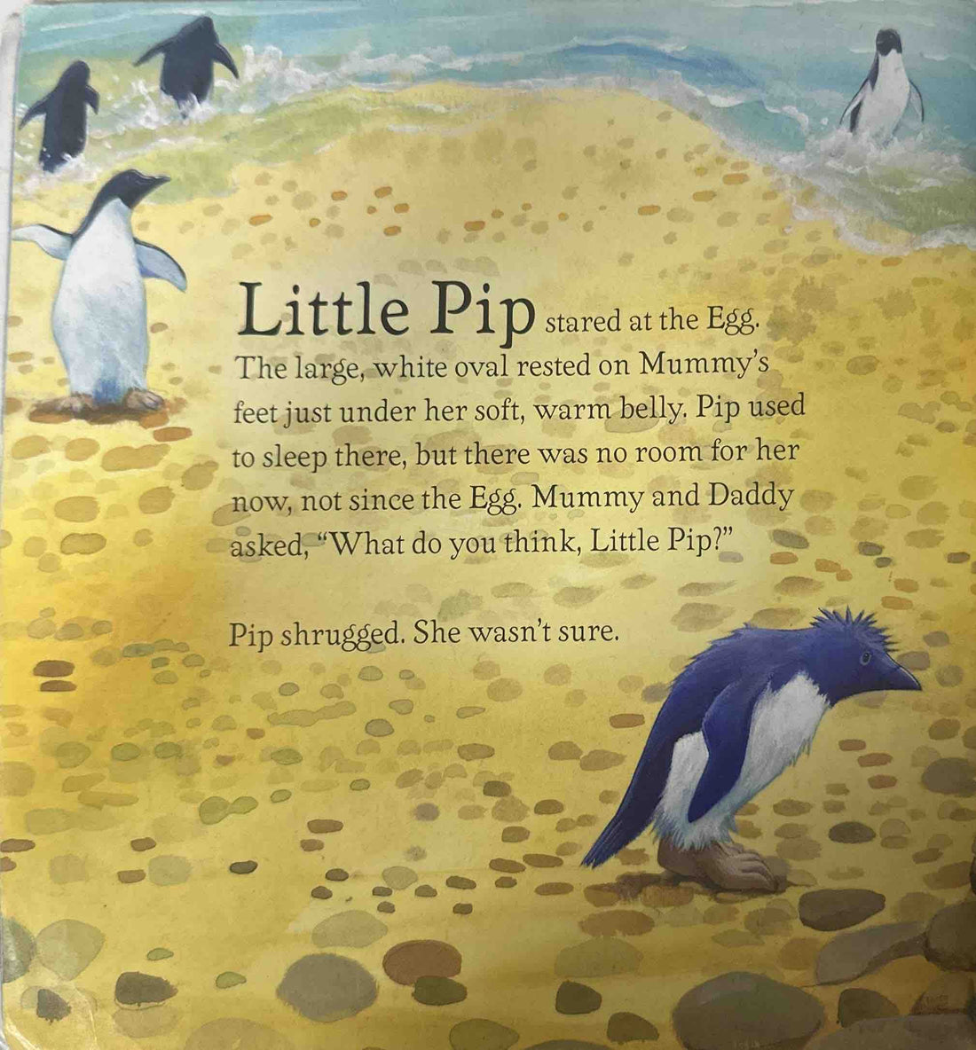 What's In The Egg, Little Pip?