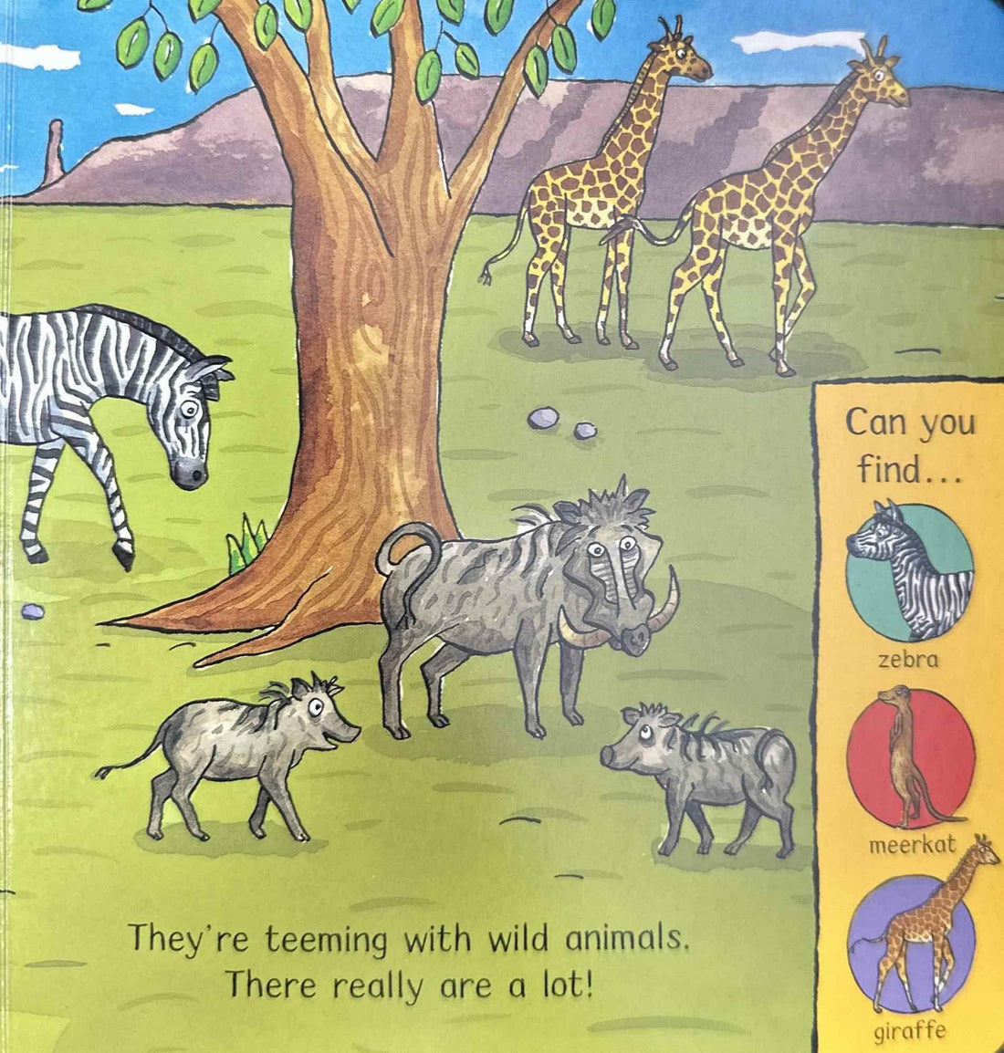 Amazing Animals: Safari Adventure