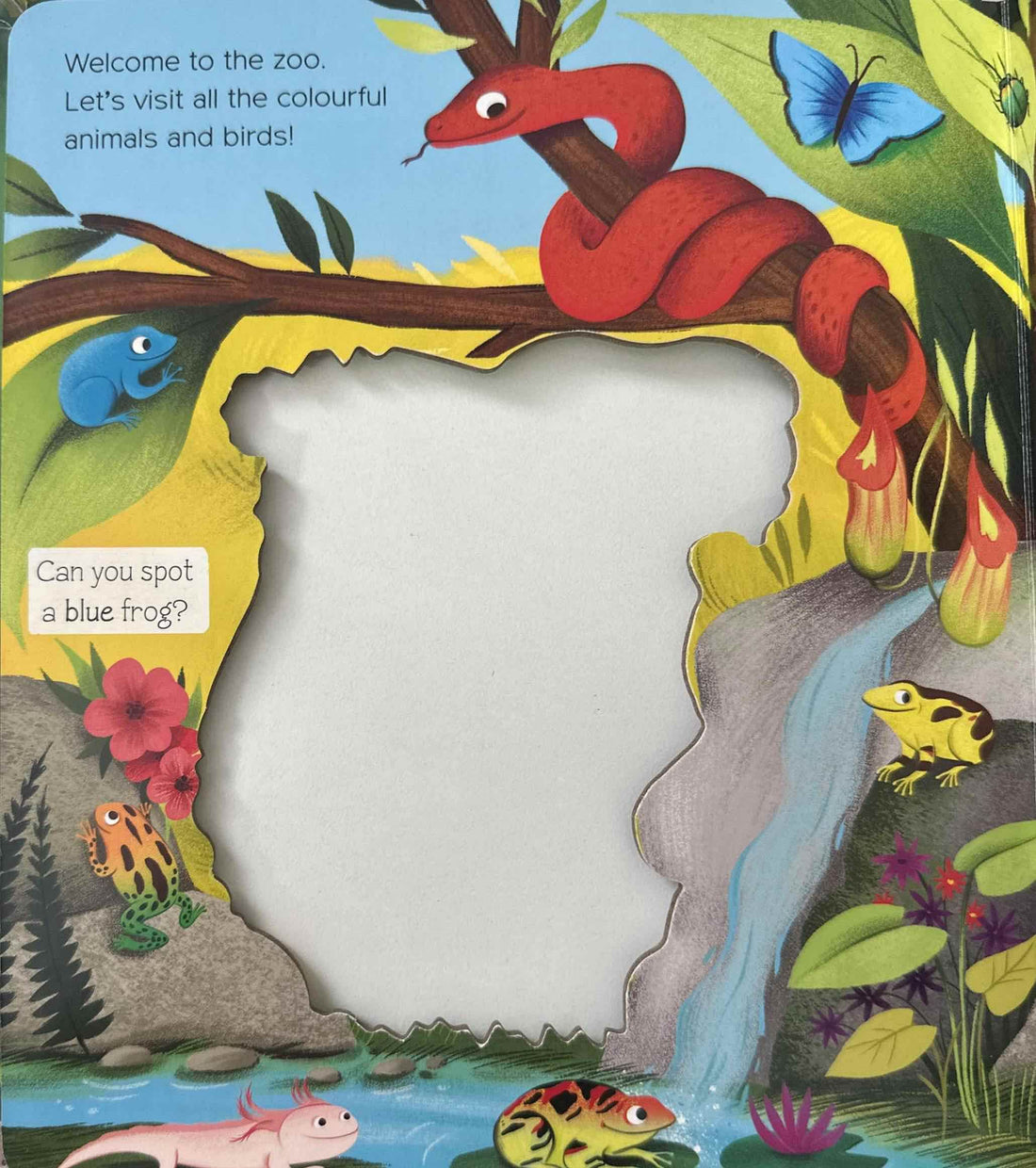 What Can You See?: What Can You See? At The Zoo