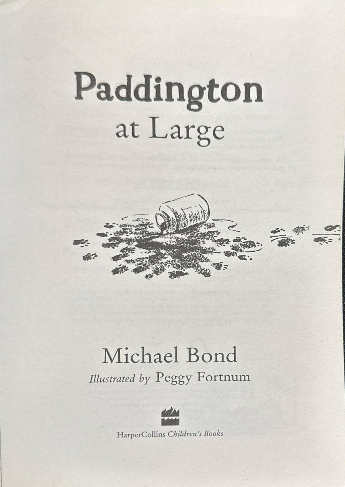 Paddington #5 Paddington at Large