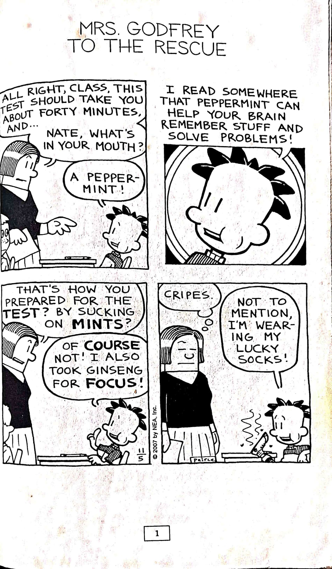 Big Nate Graphic Novels #4 What Could Possibly go Wrong?