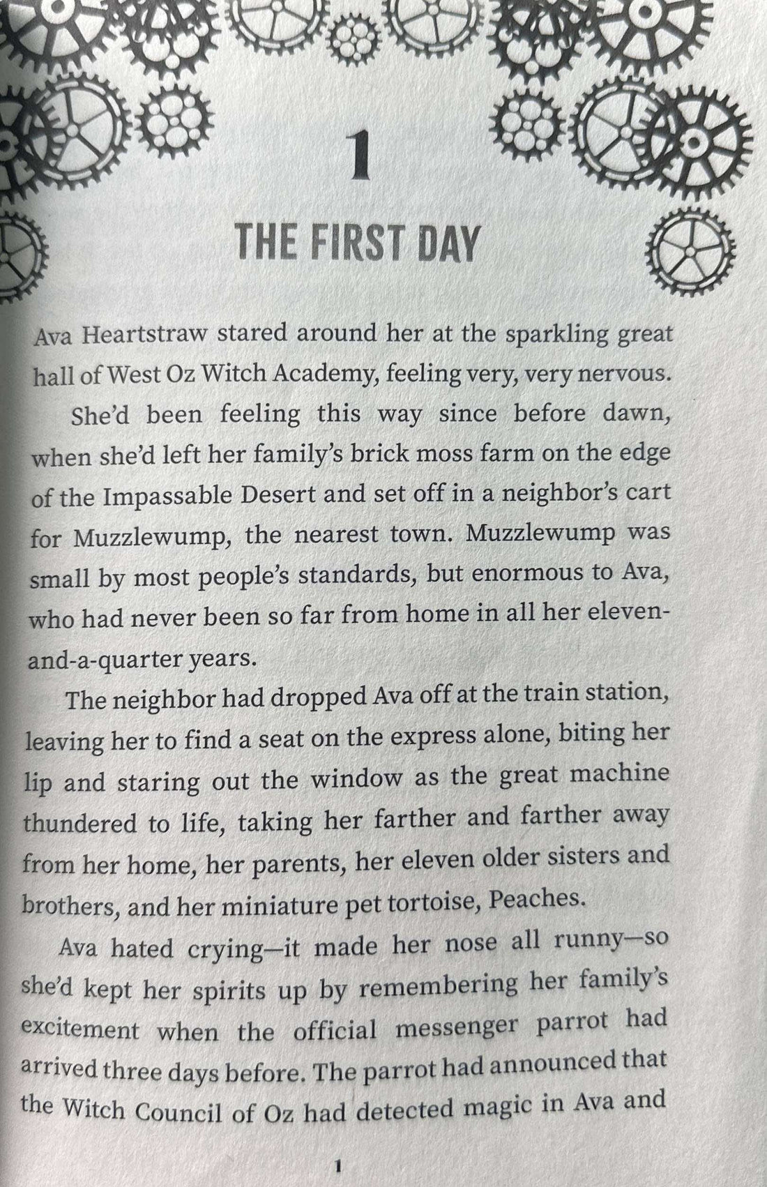 The School For Wicked Witches #1 The School for Wicked Witches