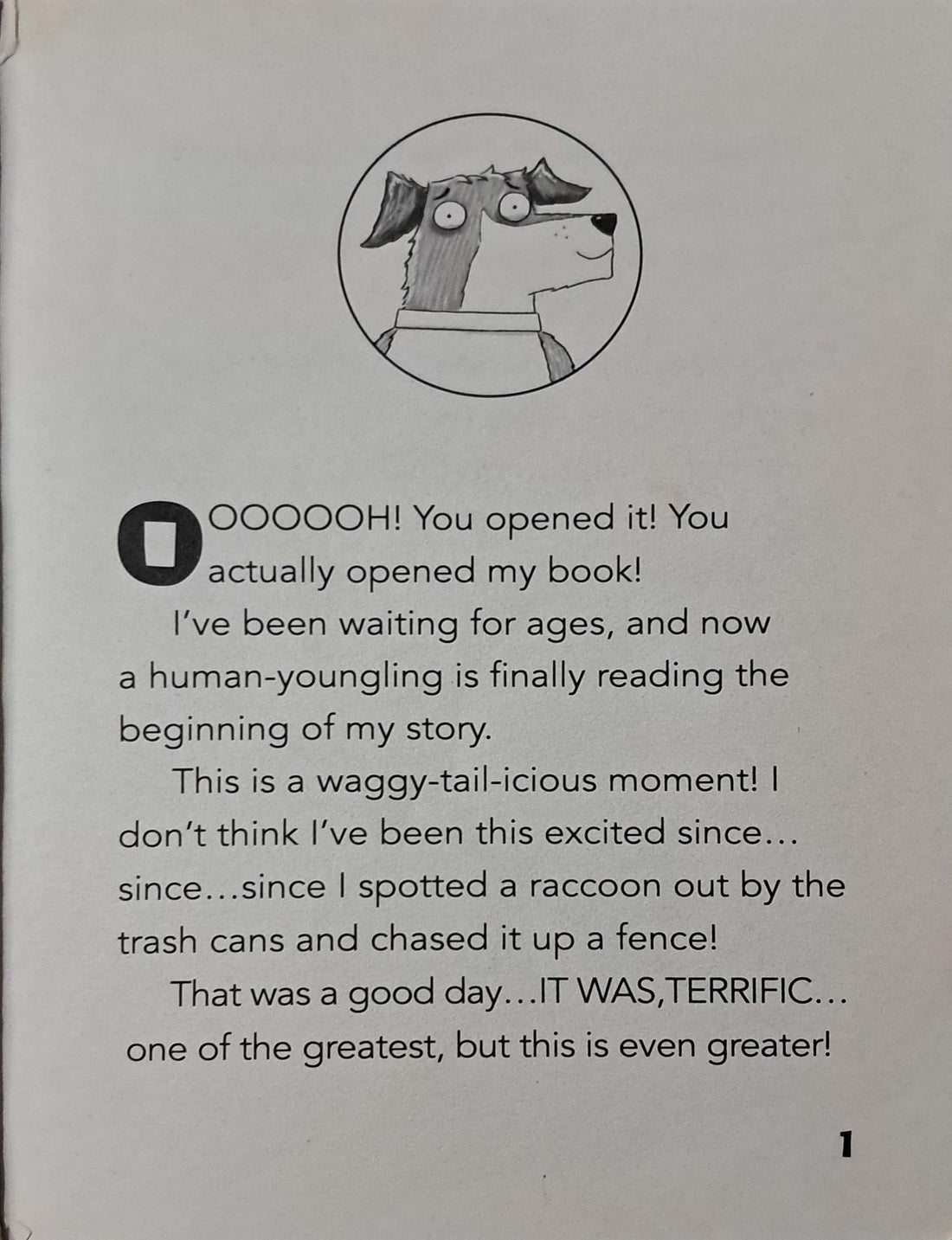 Dog Diaries #1 Dog Diaries