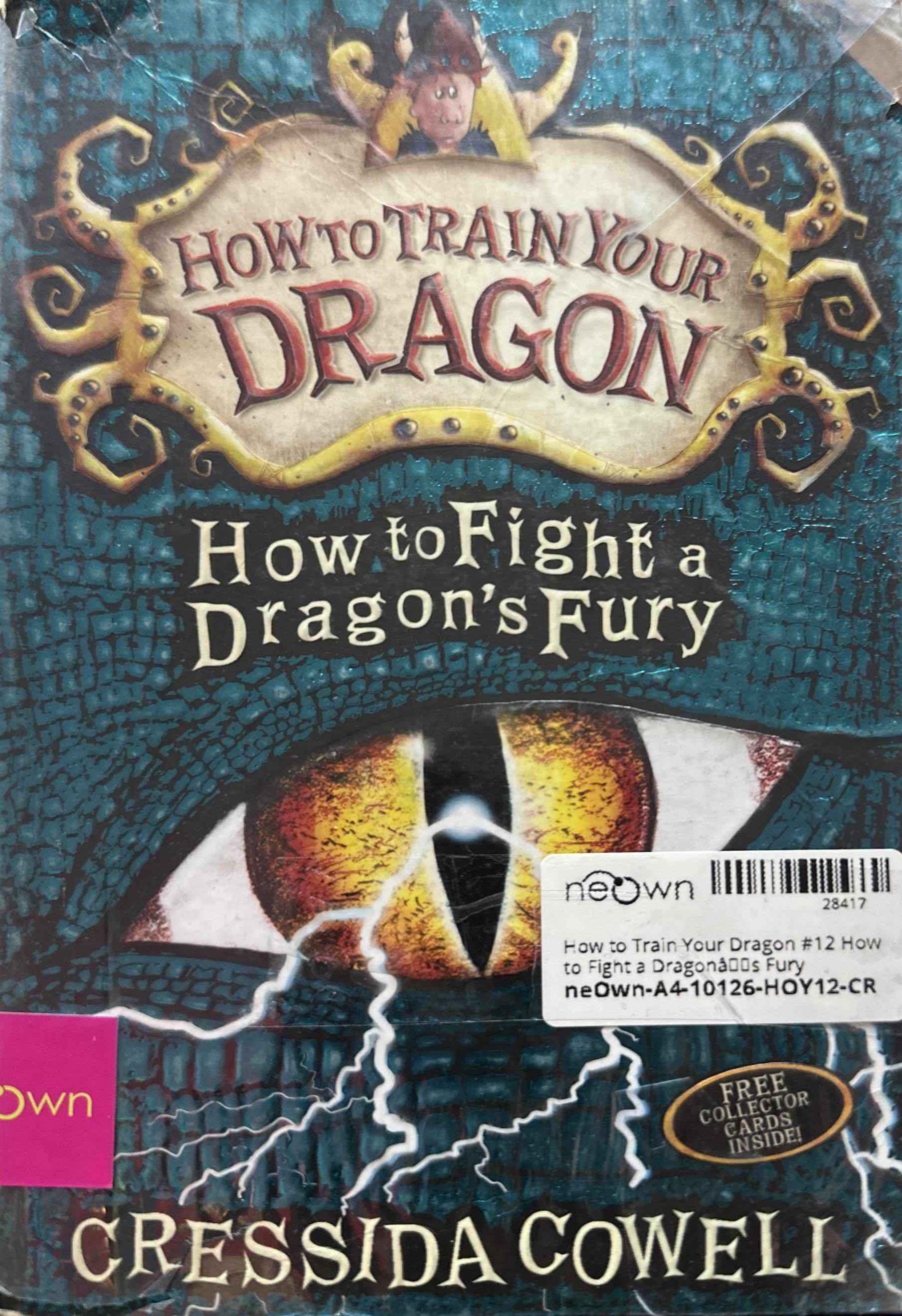 How to Train Your Dragon #12 How to Fight a Dragon's Fury