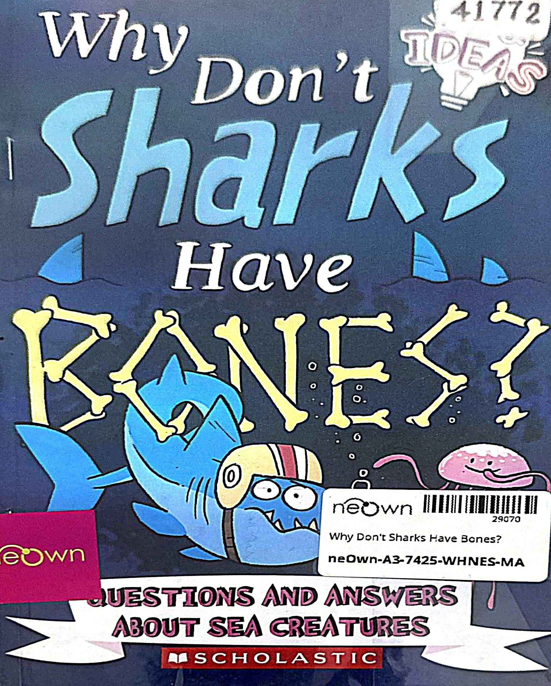 Why Don't Sharks Have Bones?