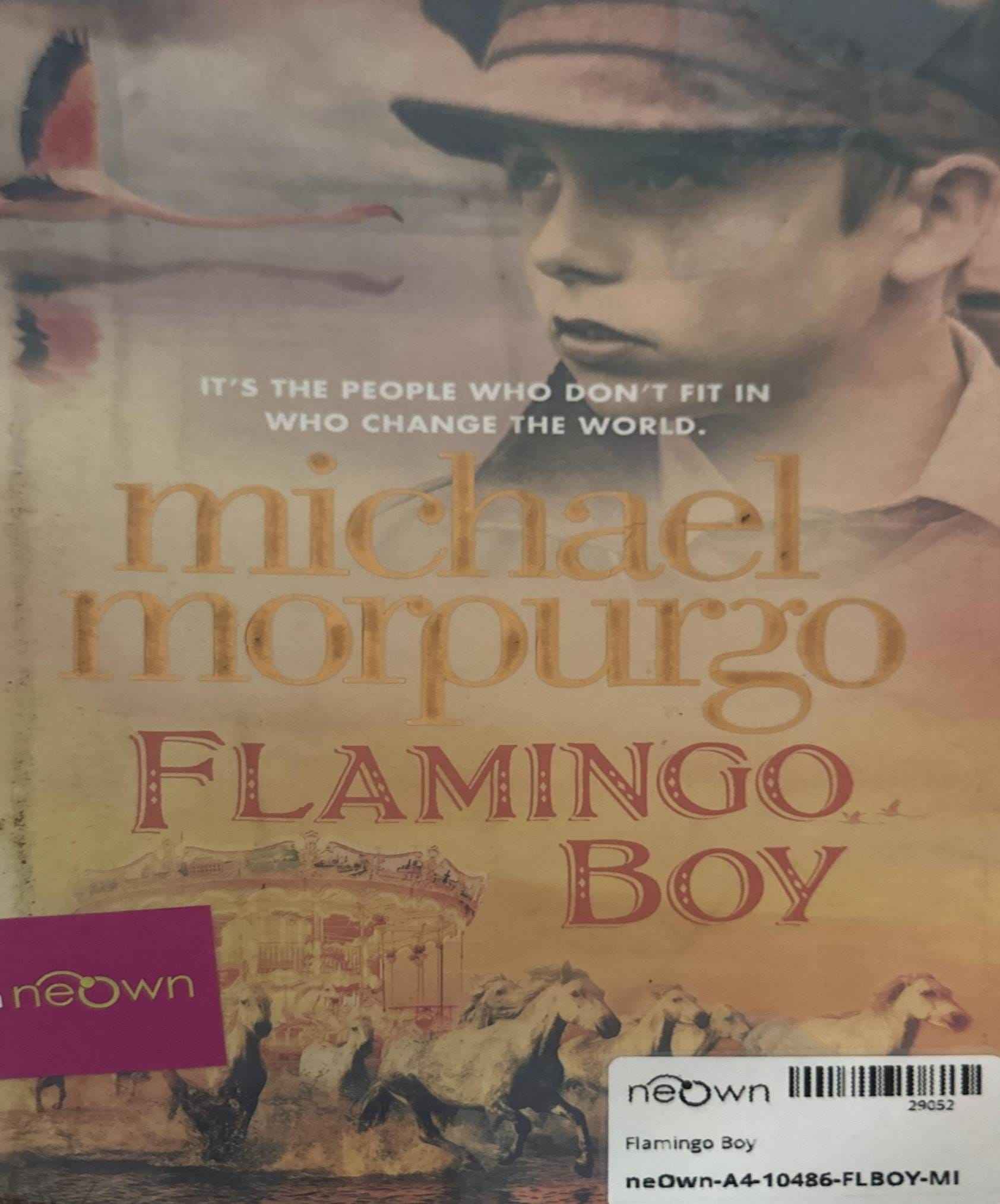 Flamingo Boy