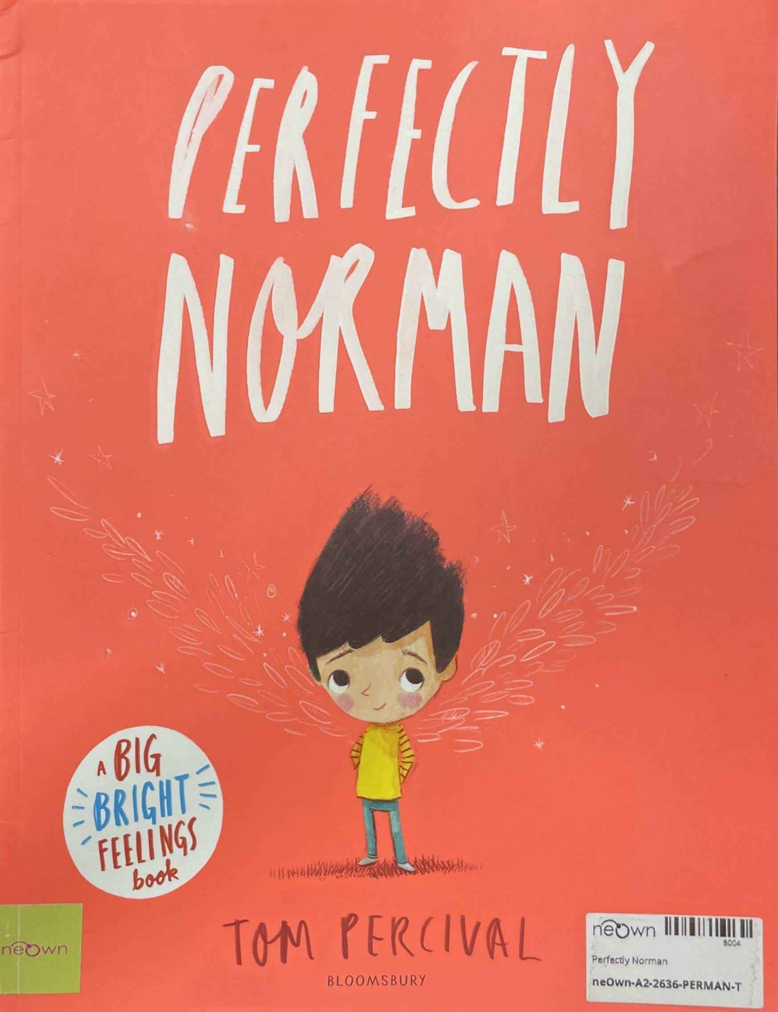 A Big Bright Feelings Book: Perfectly Norman (Paperback)