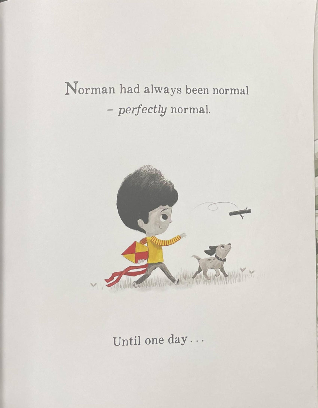 A Big Bright Feelings Book: Perfectly Norman (Paperback)
