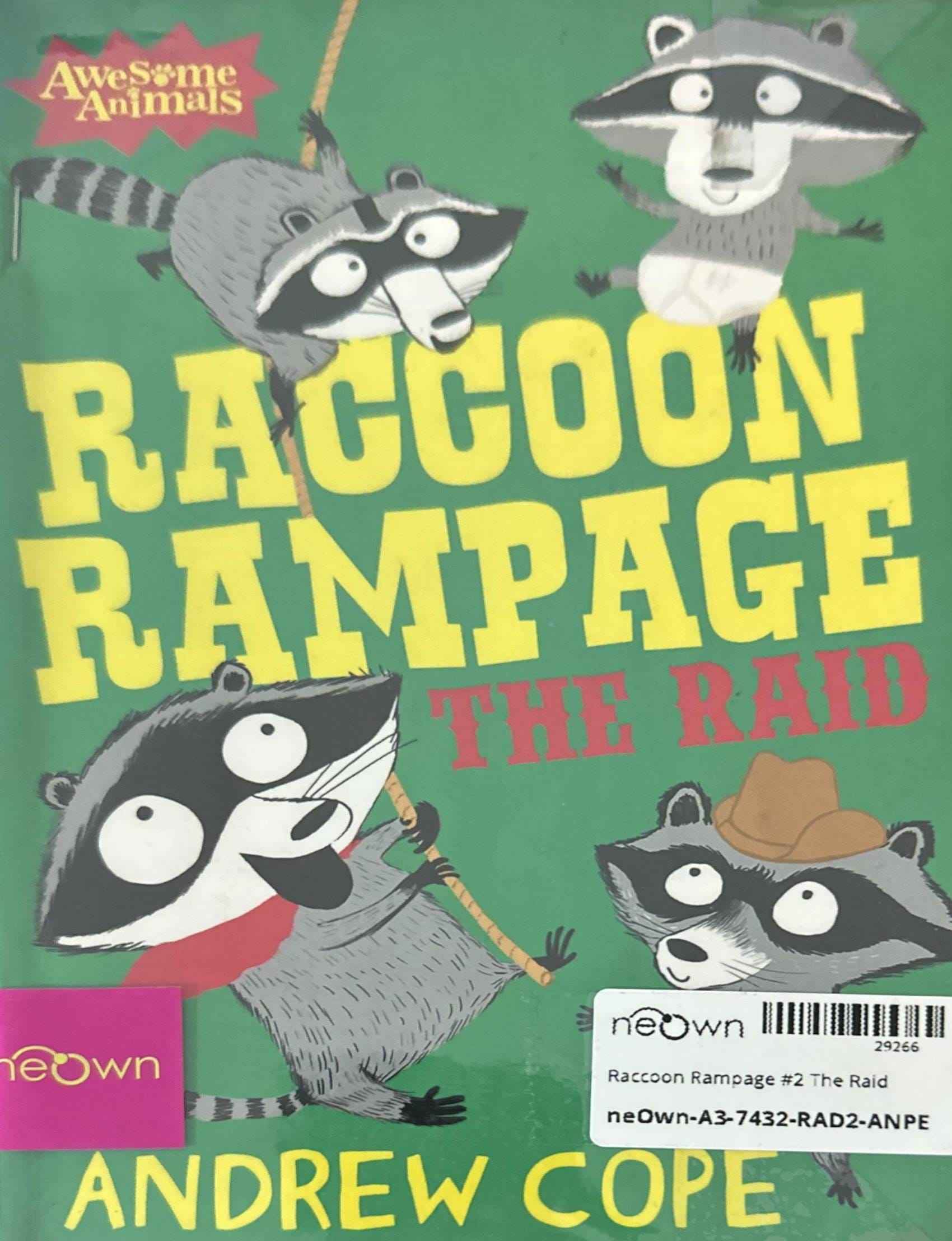 Raccoon Rampage #2 The Raid