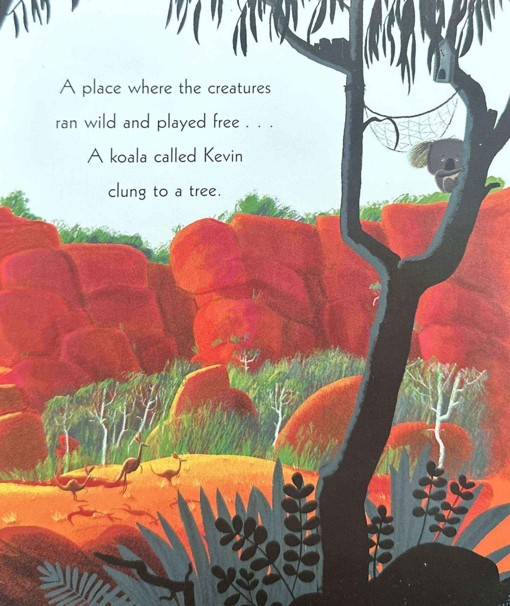 The Koala Who Could (Board Book)