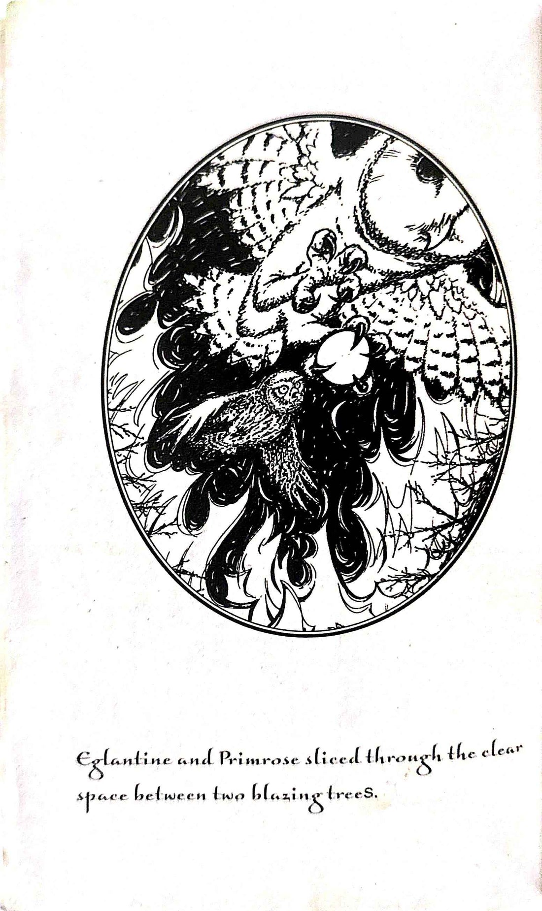 Guardians Of Ga'Hoole #5 The Shattering