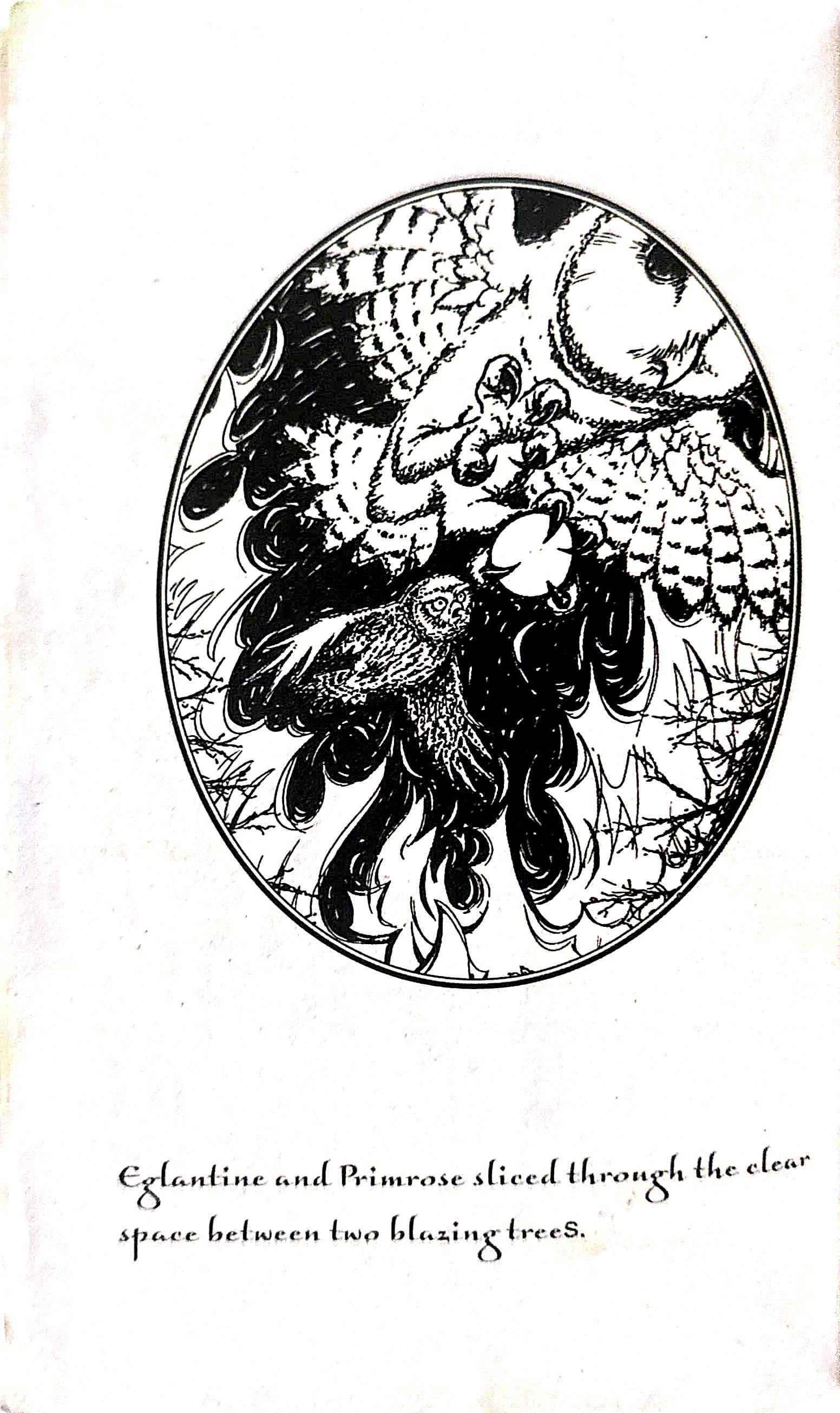 Guardians Of Ga'Hoole #5 The Shattering