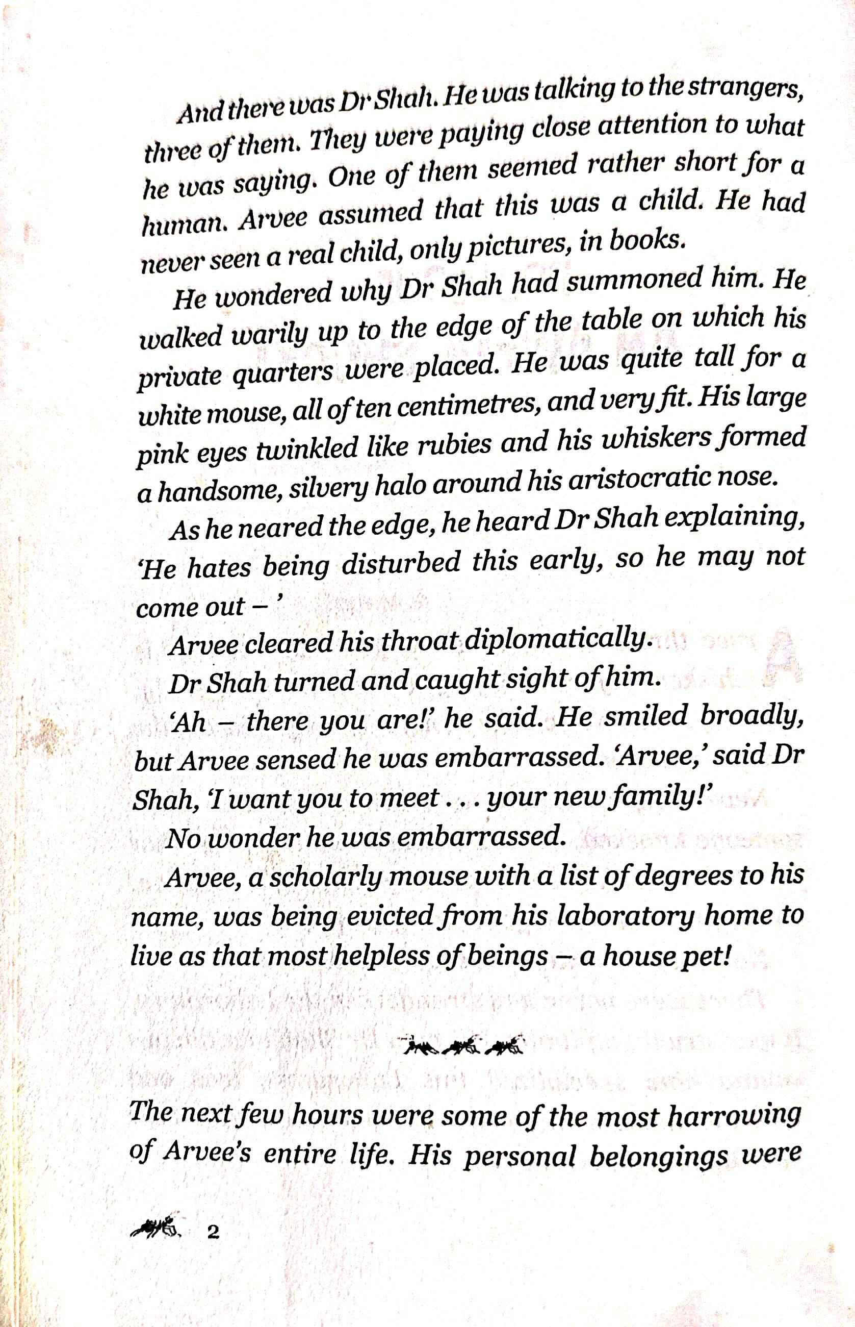 Mouse Attack: The Amazing Adventures of Arvee the Mouse