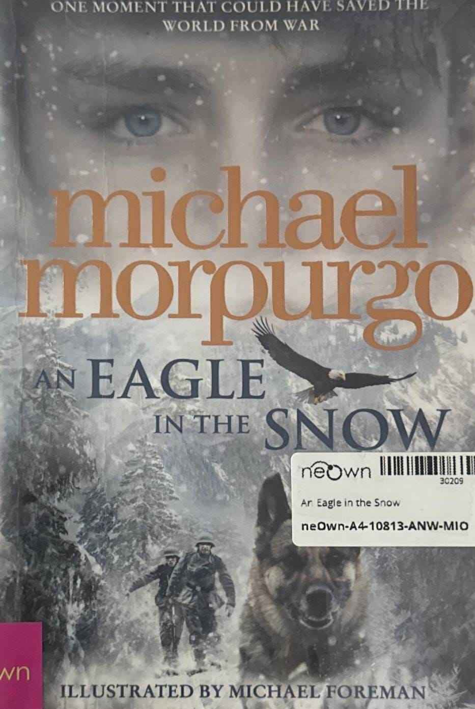 An Eagle in the Snow