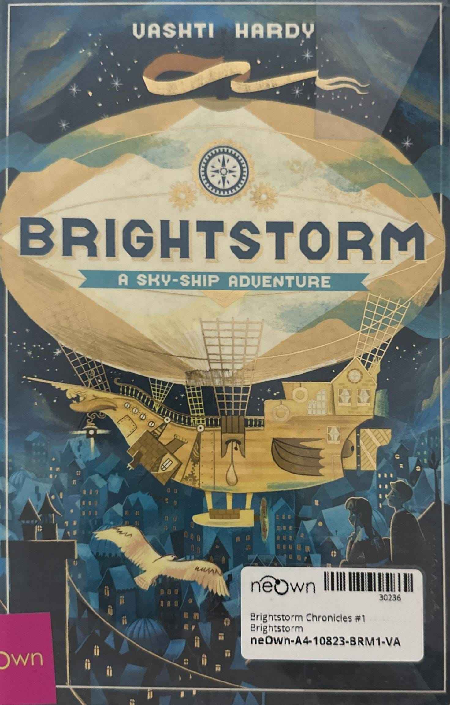 Brightstorm Chronicles #1 Brightstorm